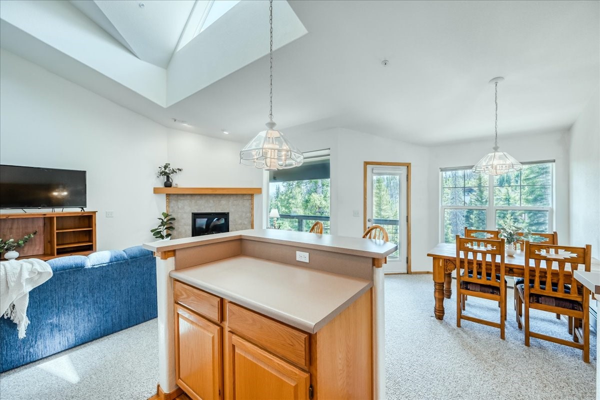 91399 Ryan Gulch Road Silverthorne CO 80498
