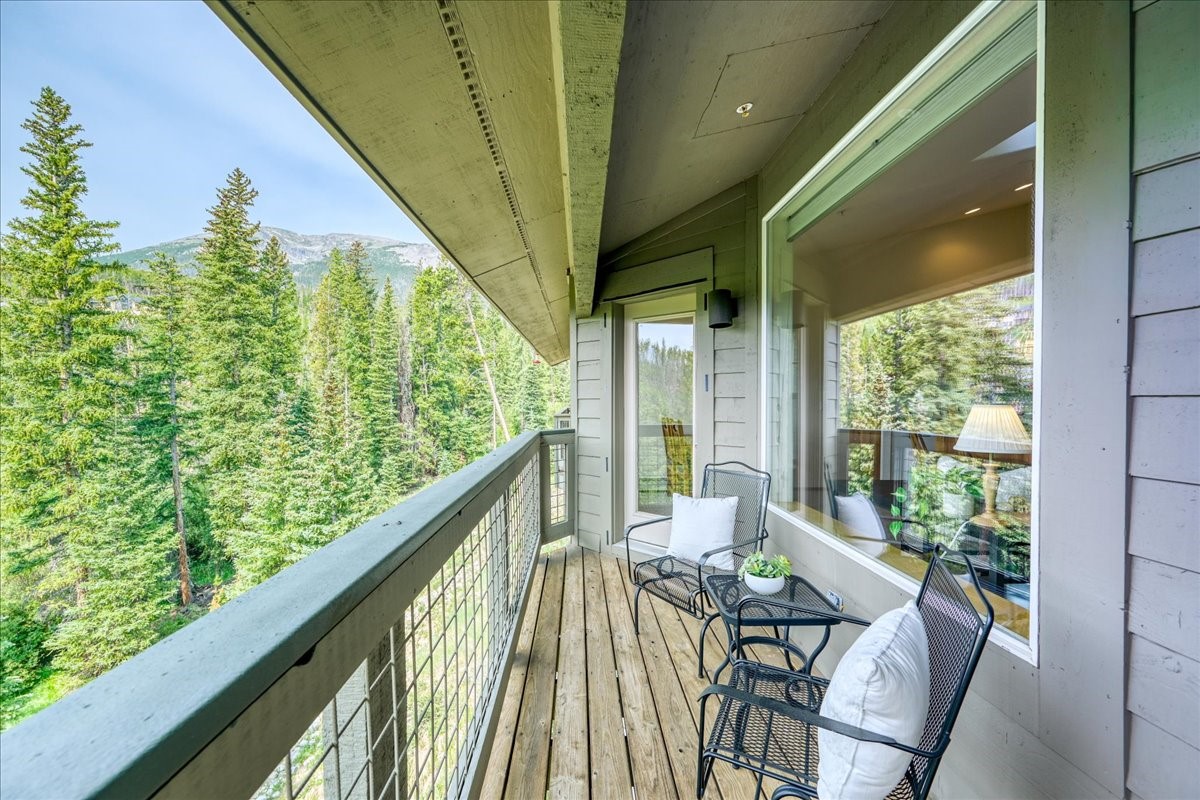 91399 Ryan Gulch Road Silverthorne CO 80498
