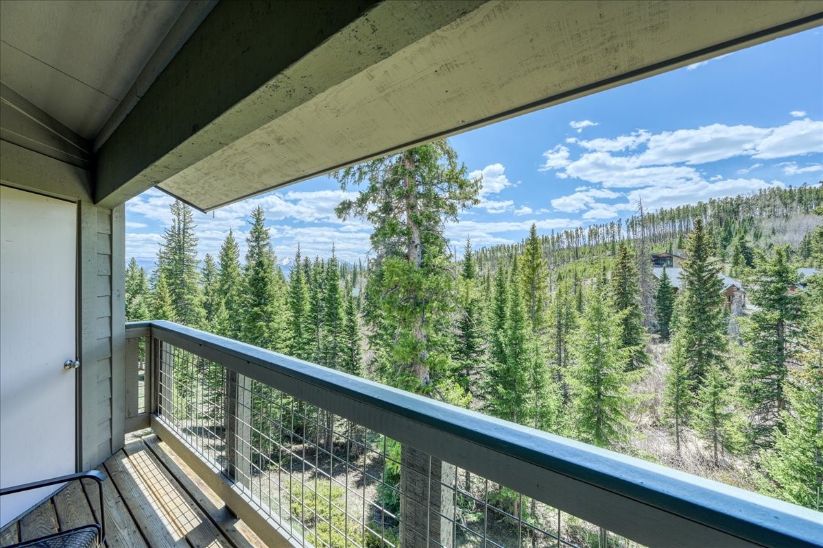 91399 Ryan Gulch Road Silverthorne CO 80498