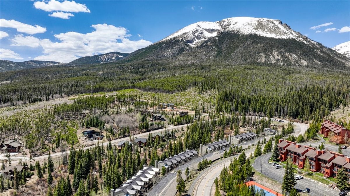 91399 Ryan Gulch Road Silverthorne CO 80498