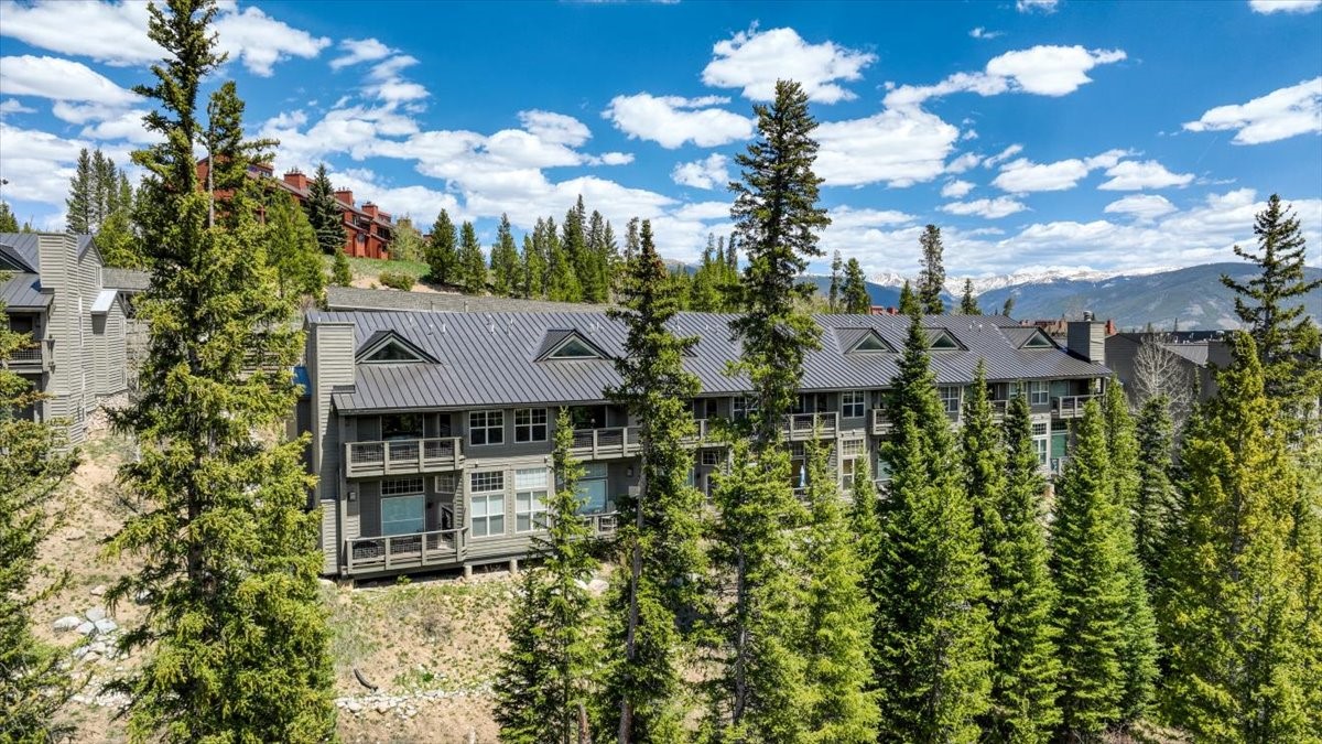 91399 Ryan Gulch Road Silverthorne CO 80498