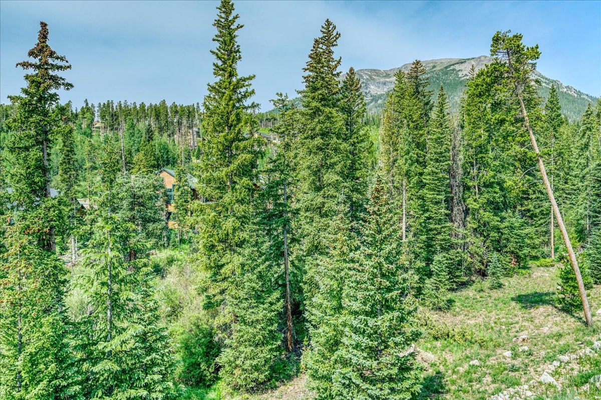 91399 Ryan Gulch Road Silverthorne CO 80498