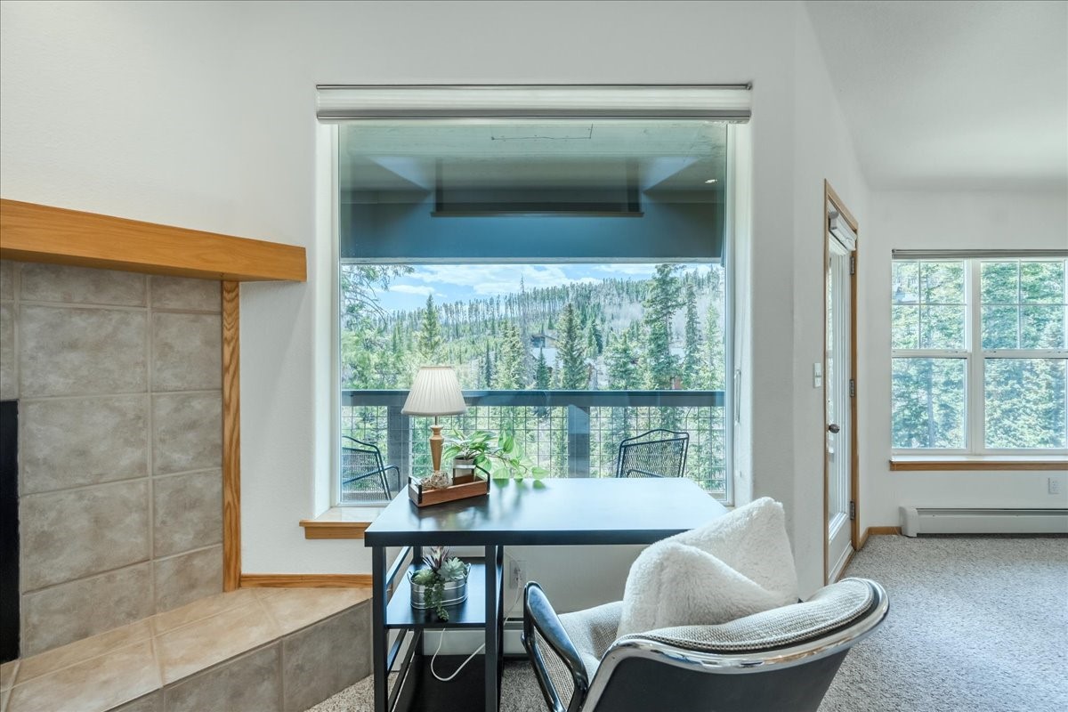 91399 Ryan Gulch Road Silverthorne CO 80498