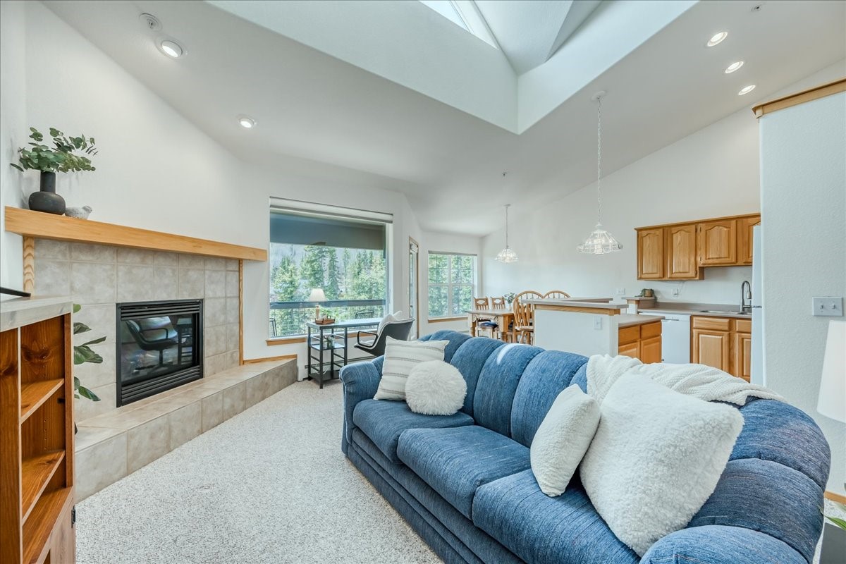 91399 Ryan Gulch Road Silverthorne CO 80498