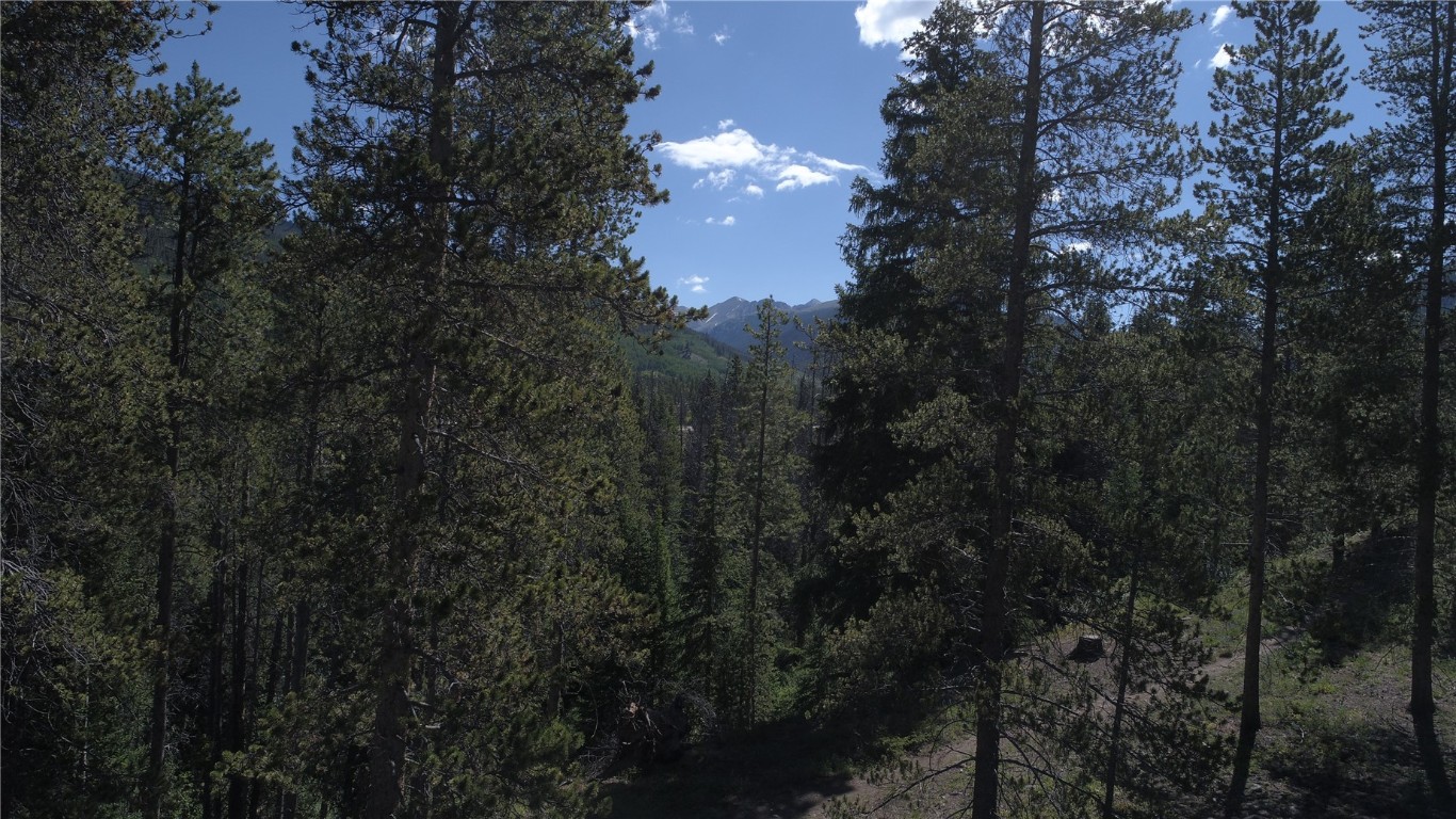 0125 Lake Ridge Circle Keystone CO 80435