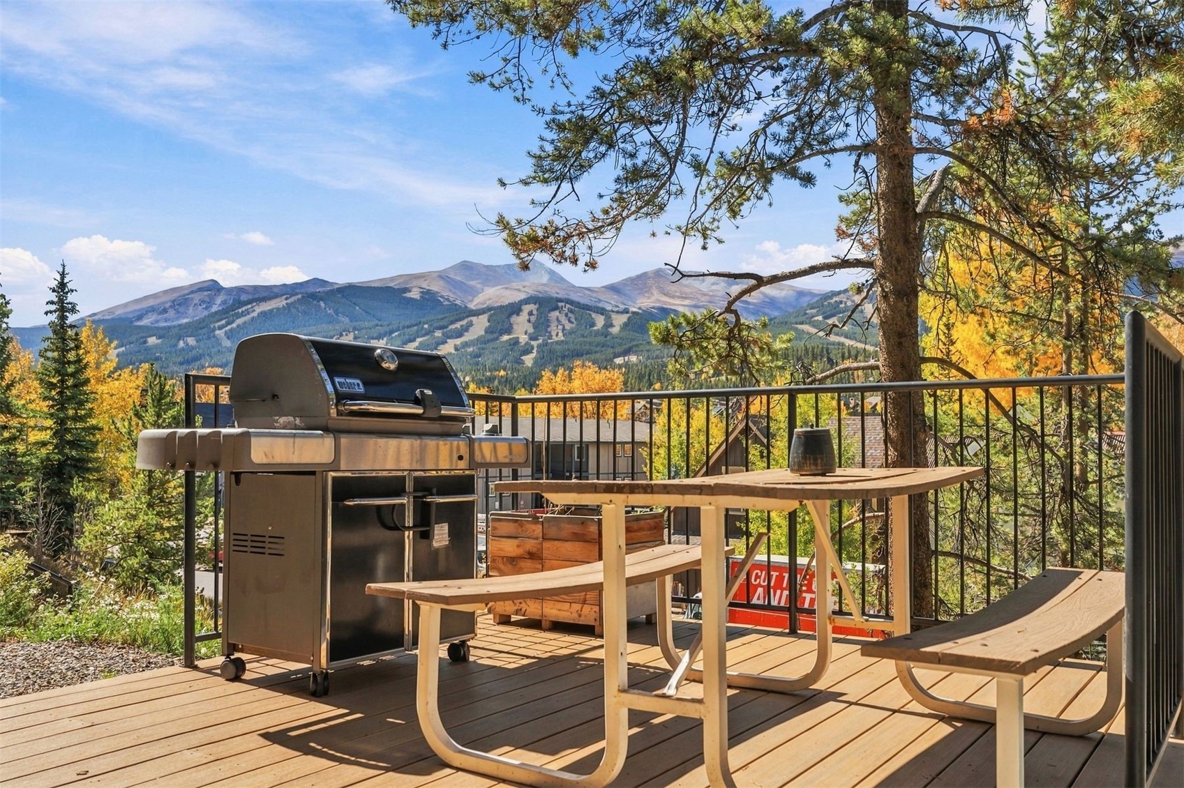 301 N French Street Breckenridge CO 80424