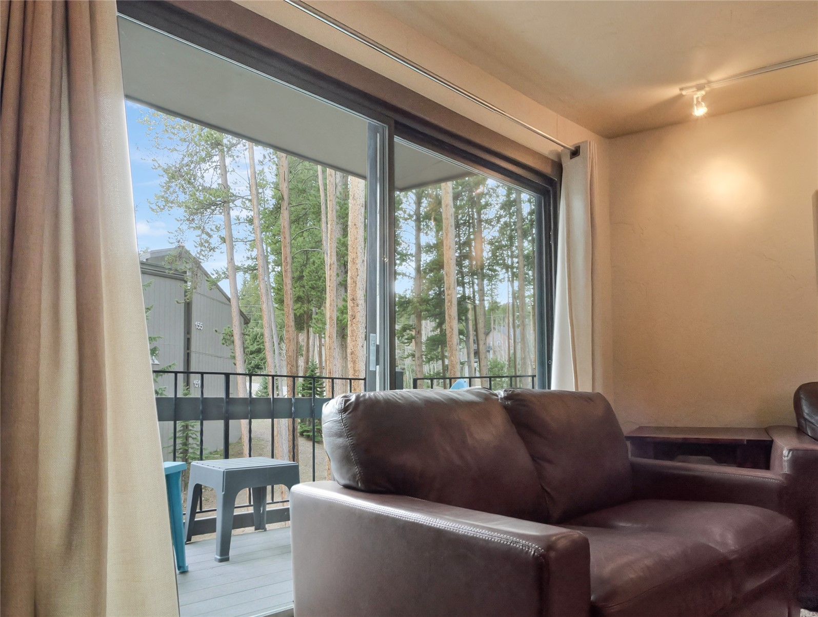 1173 Ski Hill Road Breckenridge CO 80424