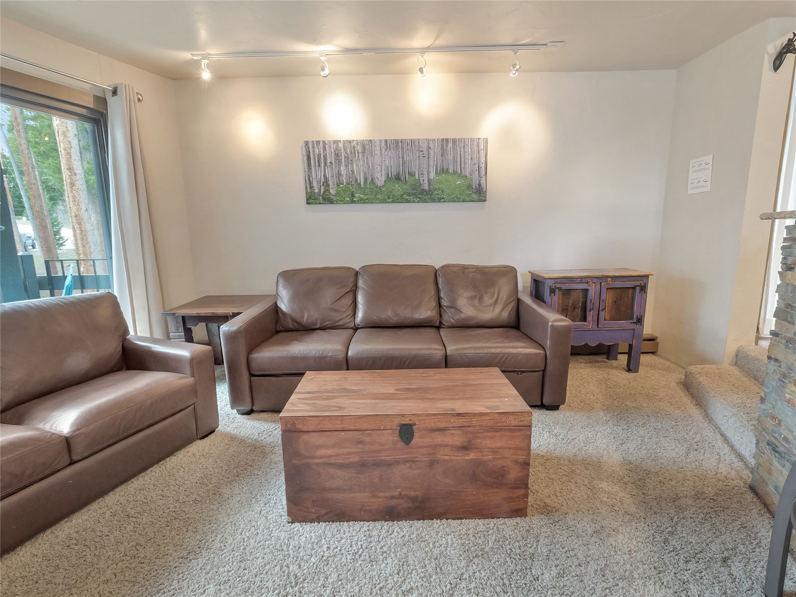 1173 Ski Hill Road Breckenridge CO 80424