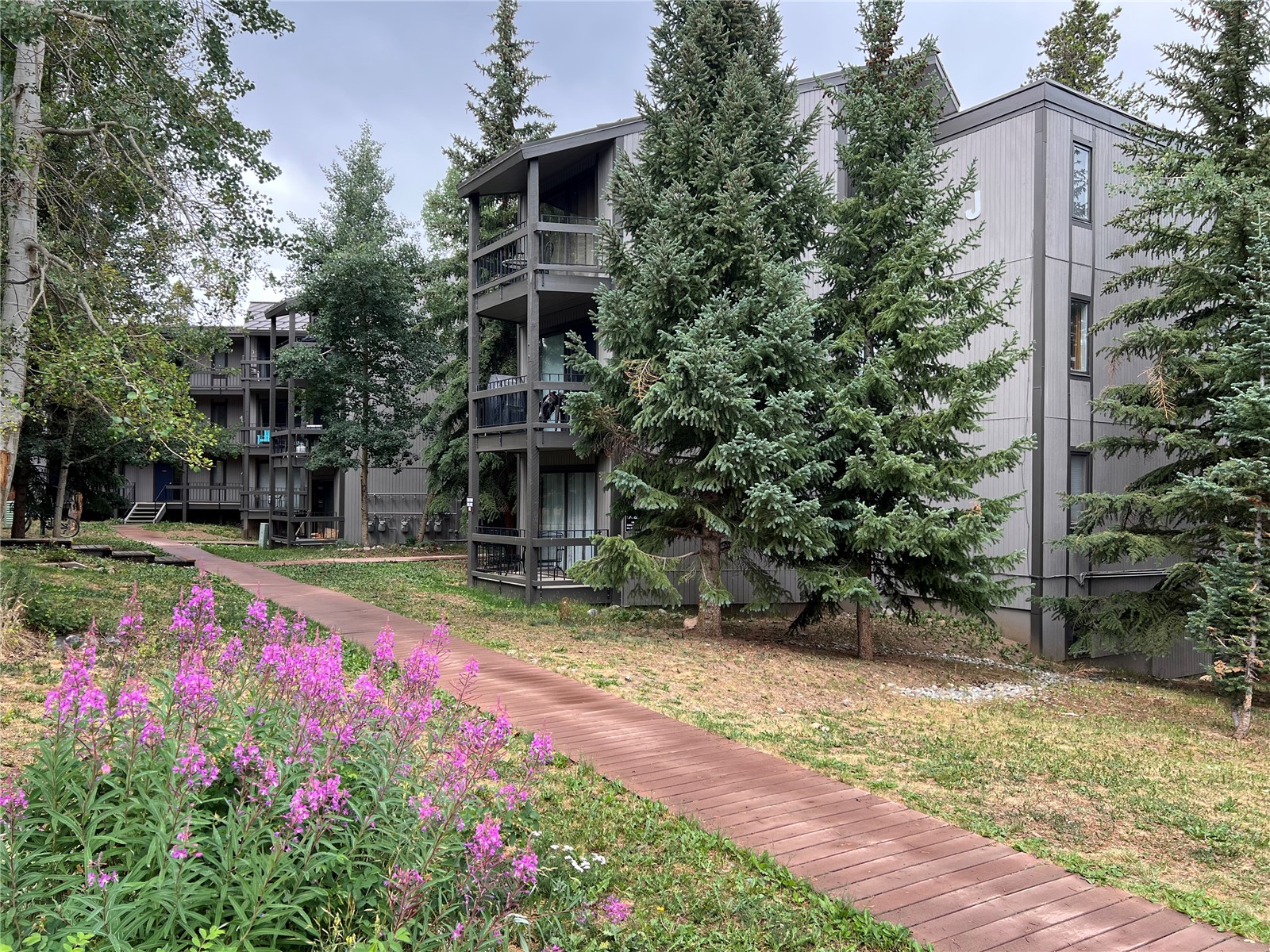 1161 Ski Hill Road Breckenridge CO 80424