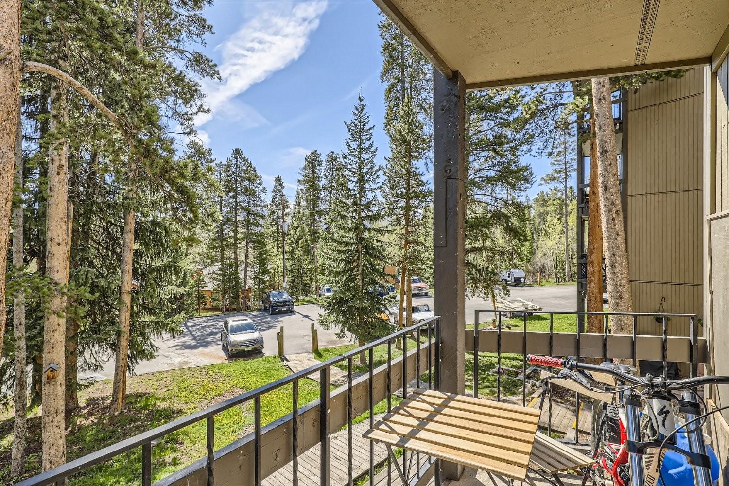 1161 Ski Hill Road Breckenridge CO 80424