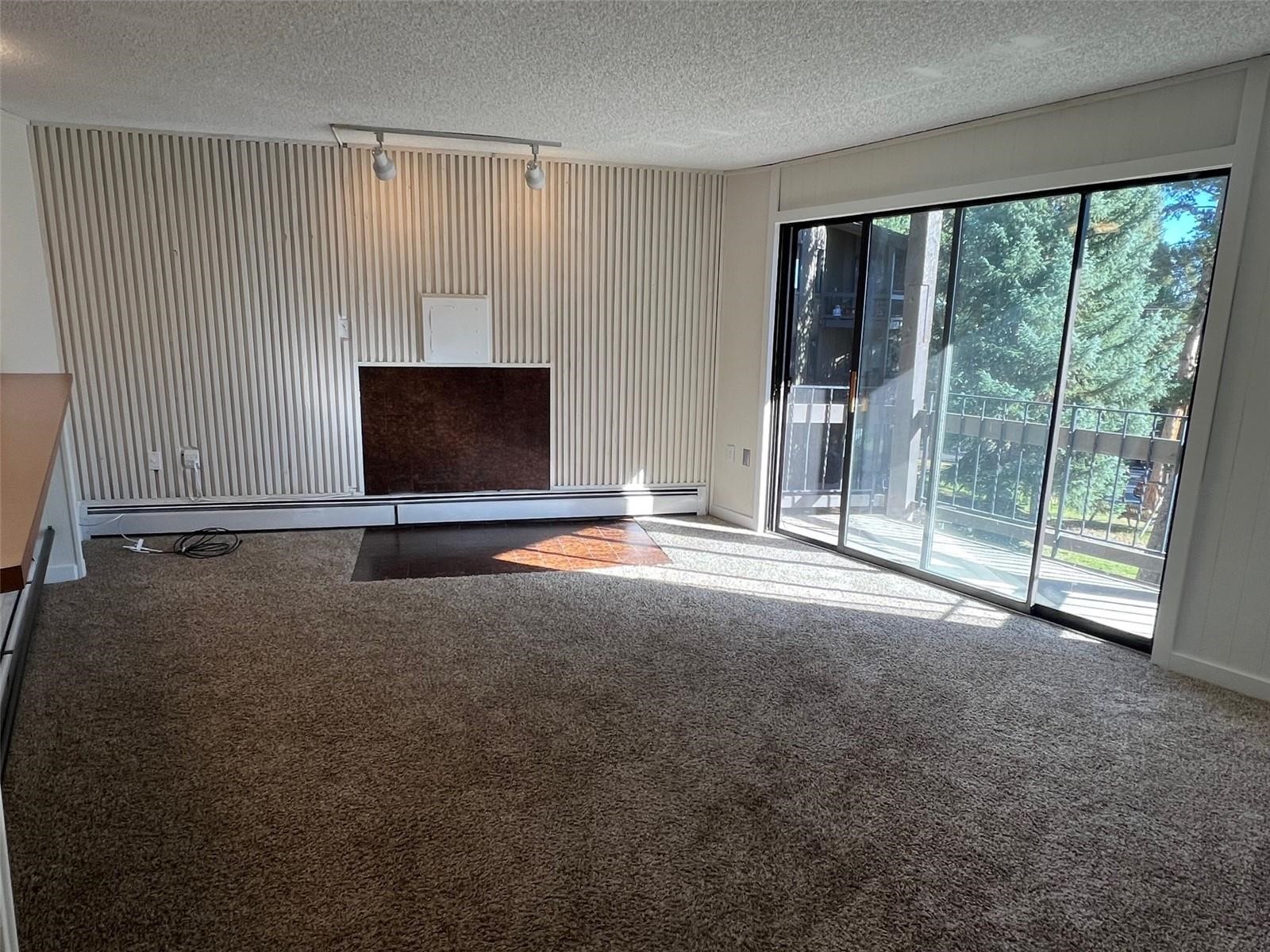 1161 Ski Hill Road Breckenridge CO 80424
