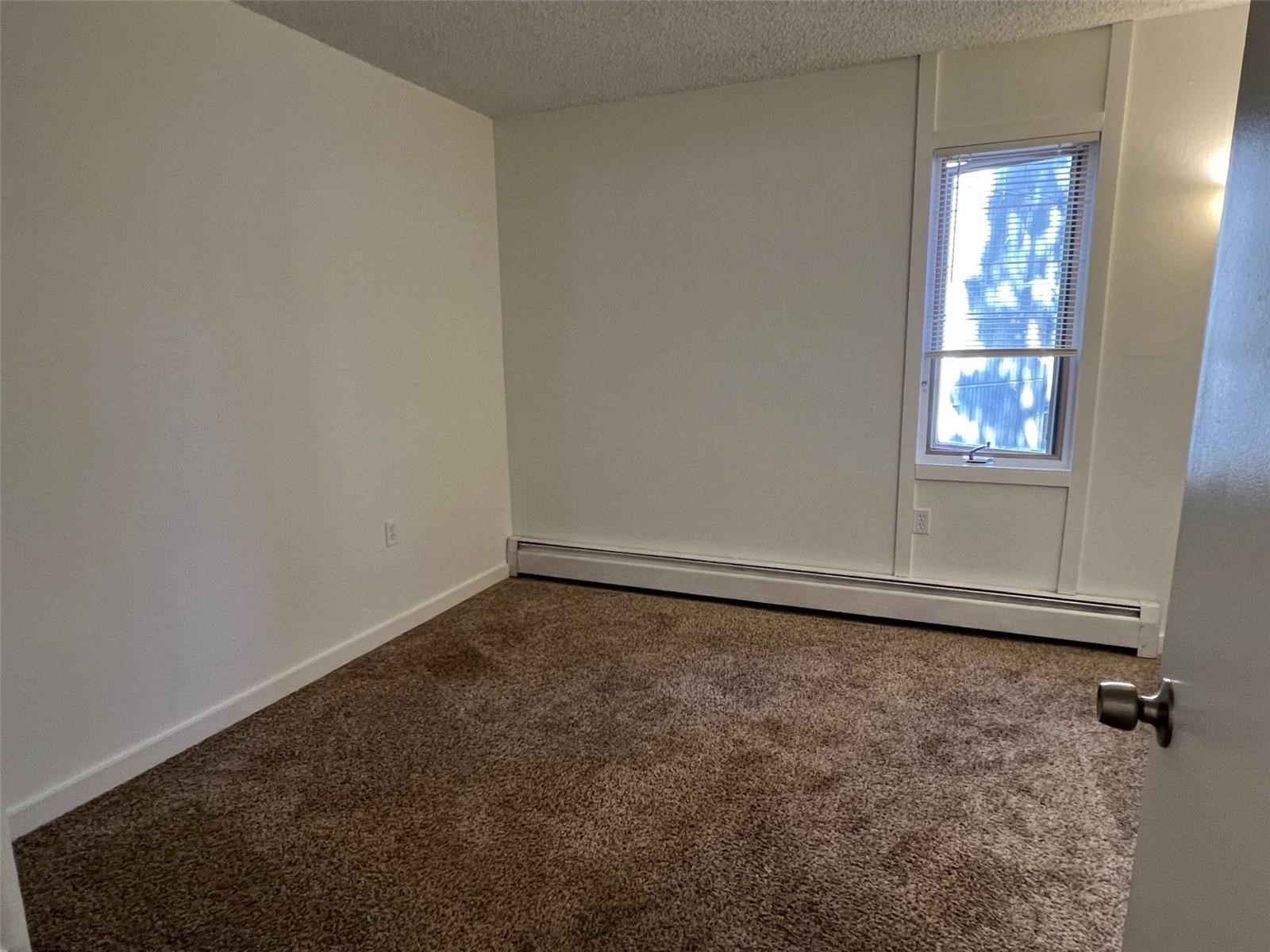 1161 Ski Hill Road Breckenridge CO 80424