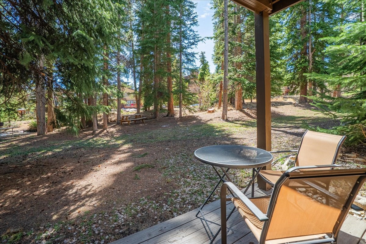 120 Sawmill Road Breckenridge CO 80424