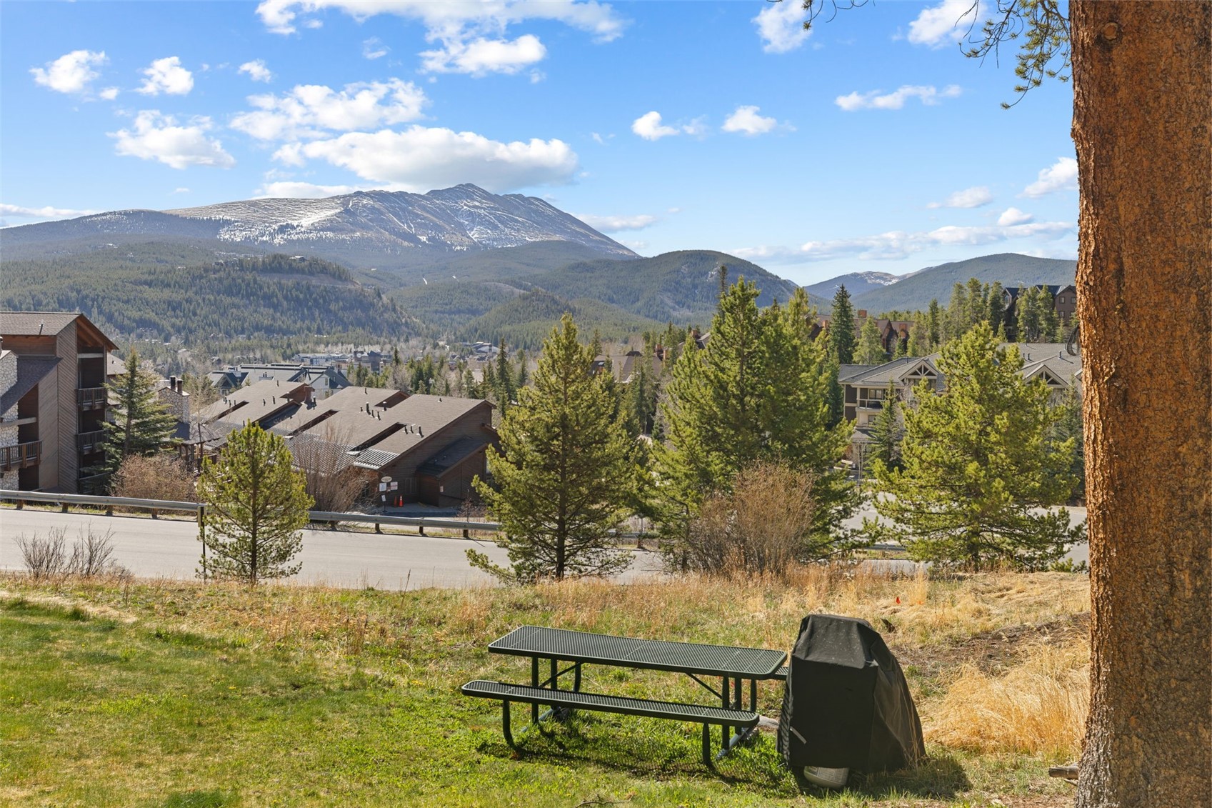 875 Four O Clock Road Breckenridge CO 80424