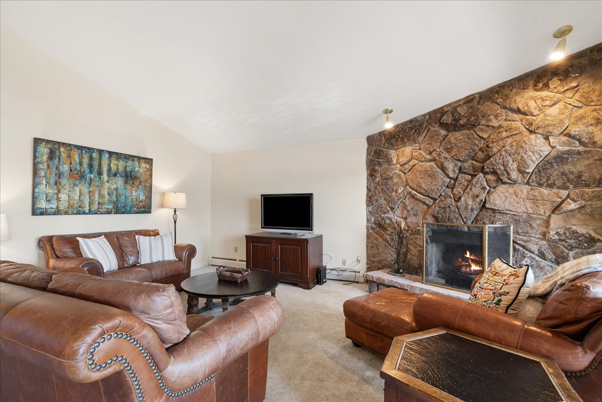 244 Lodgepole Street Dillon CO 80435