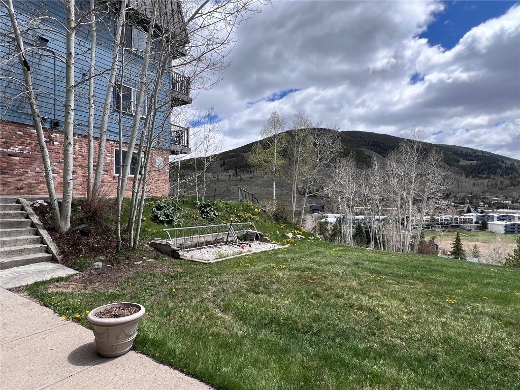 330 E La Bonte Street Dillon CO 80435
