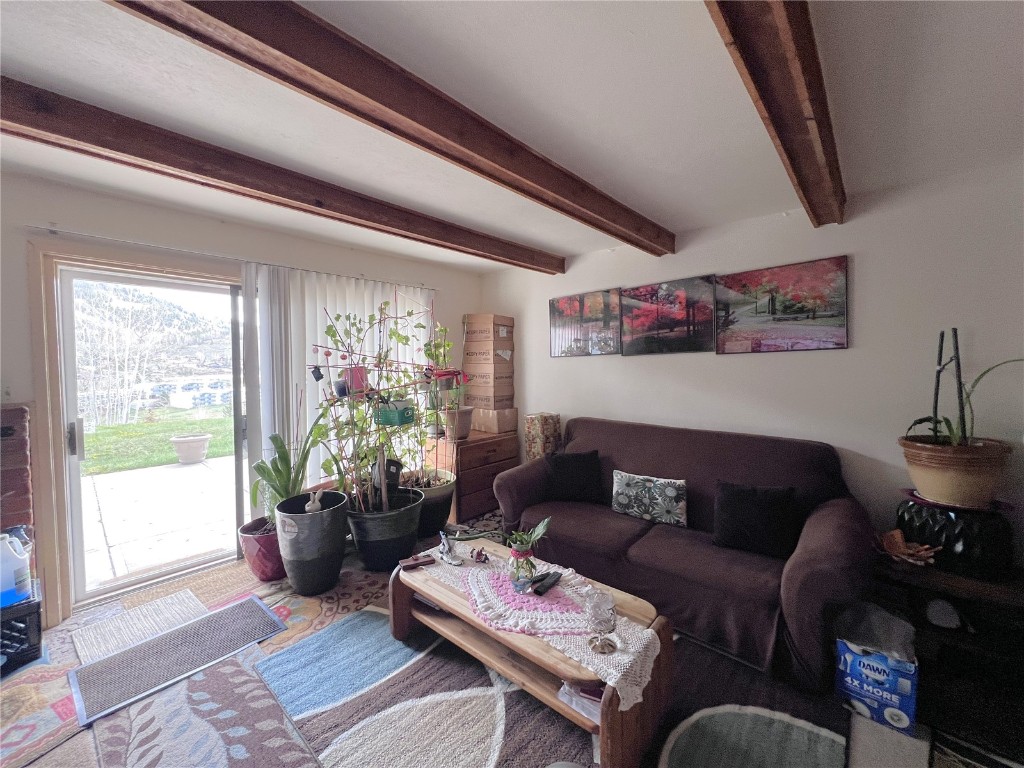 330 E La Bonte Street Dillon CO 80435