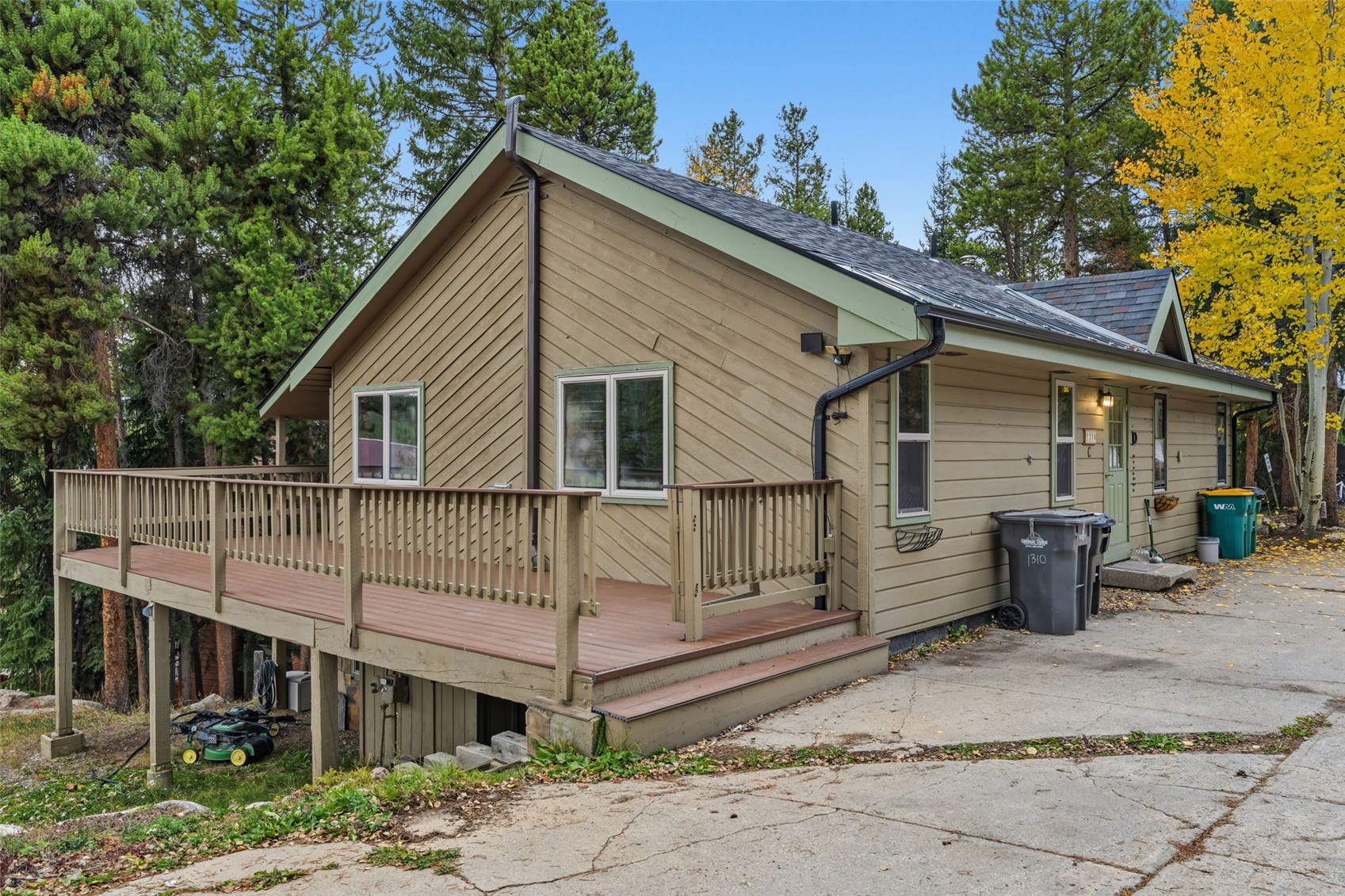 1310 Baldy Road Breckenridge CO 80424