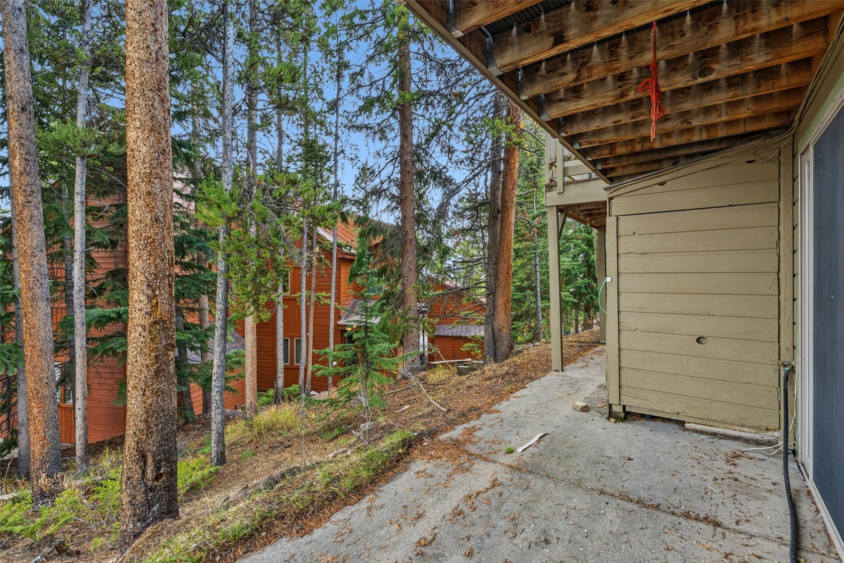 1310 Baldy Road Breckenridge CO 80424