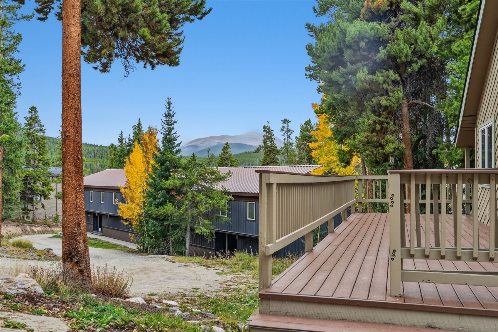 1310 Baldy Road Breckenridge CO 80424
