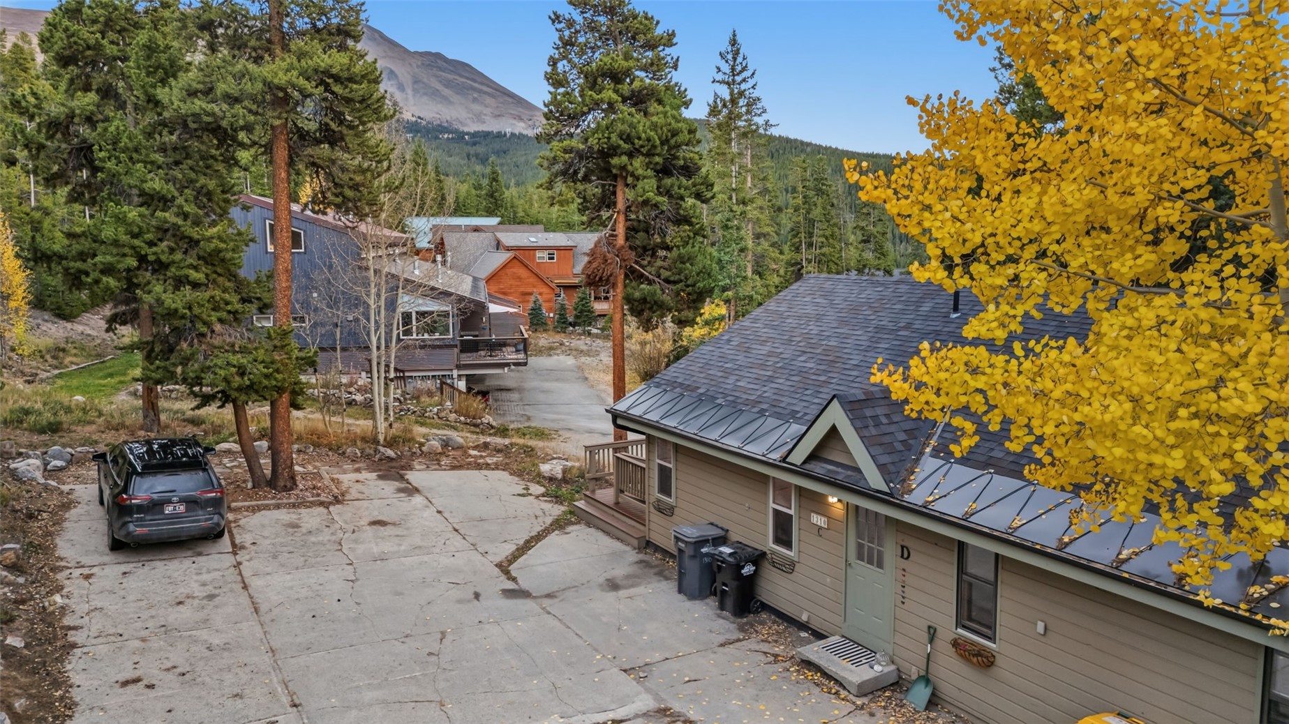 1310 Baldy Road Breckenridge CO 80424
