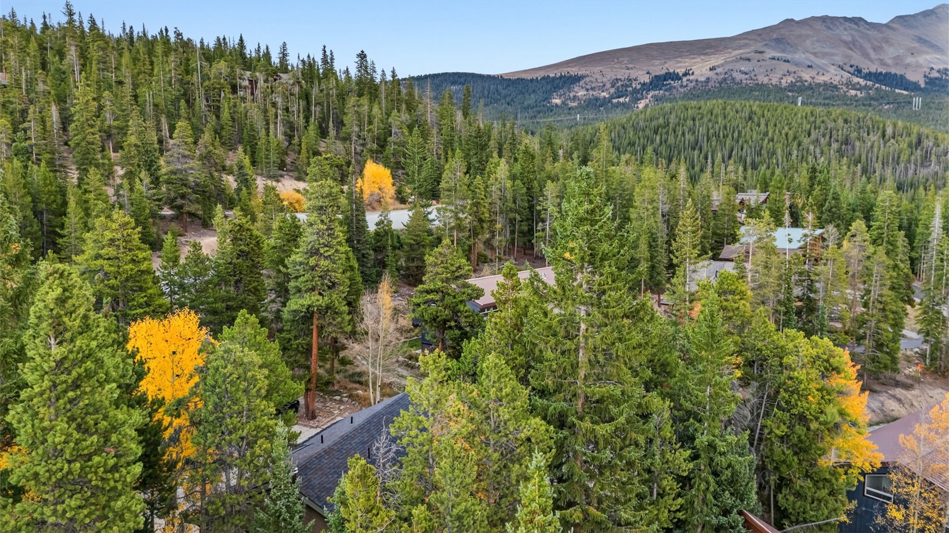 1310 Baldy Road Breckenridge CO 80424