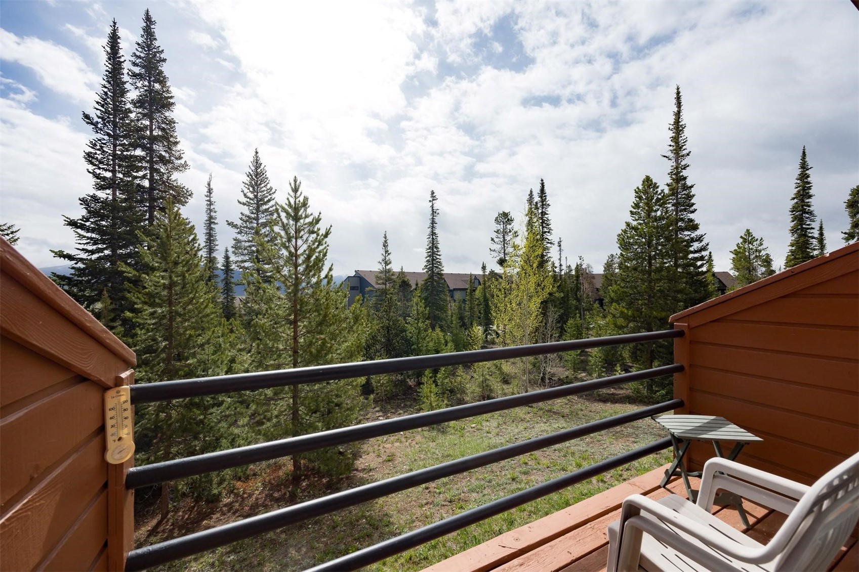 91100 Ryan Gulch Road Silverthorne CO 80498