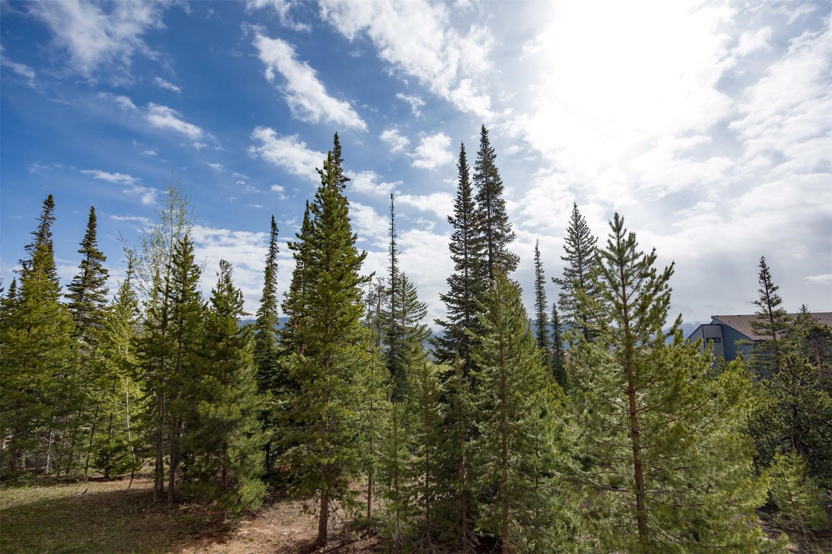 91100 Ryan Gulch Road Silverthorne CO 80498