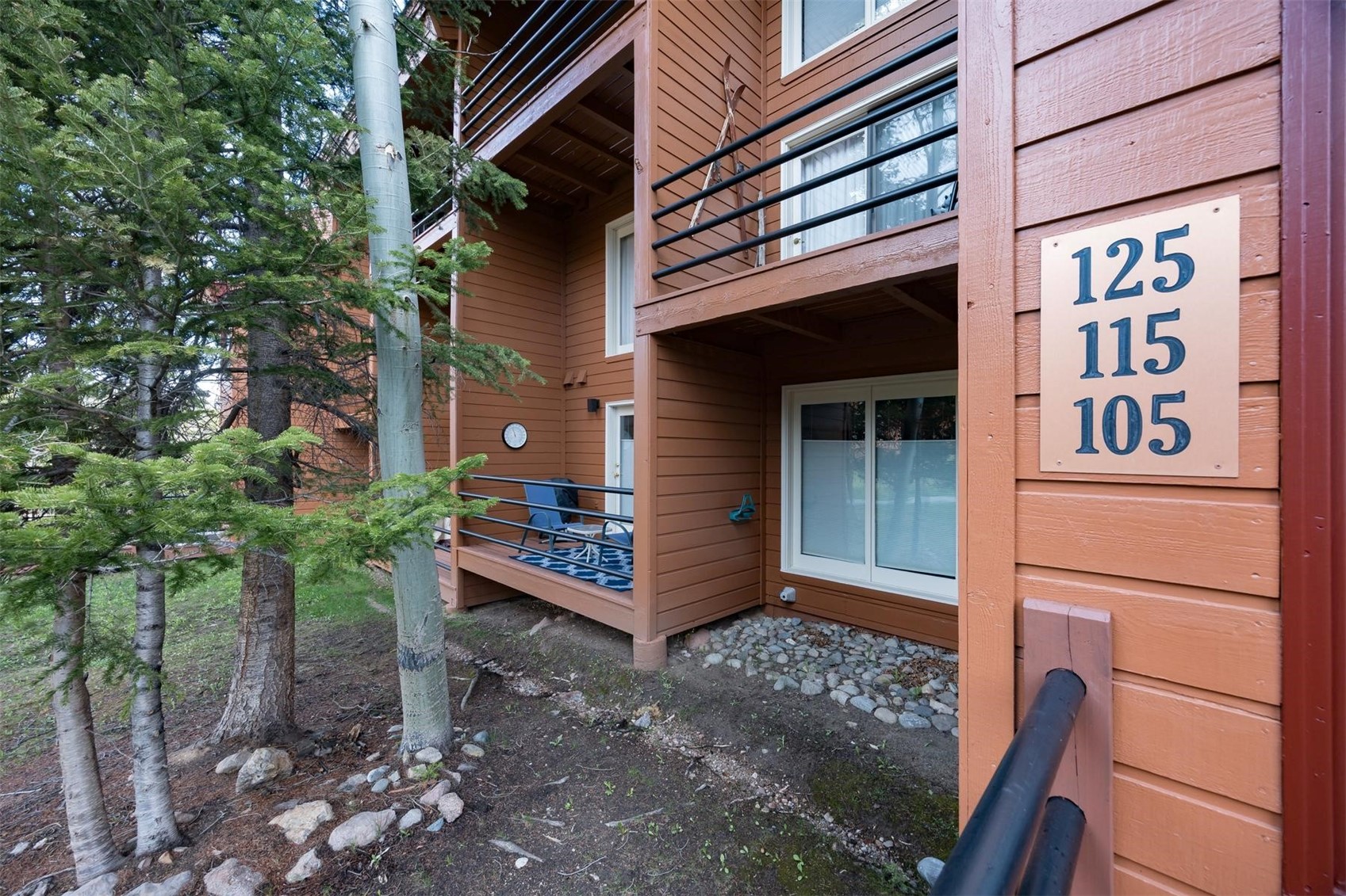 91100 Ryan Gulch Road Silverthorne CO 80498