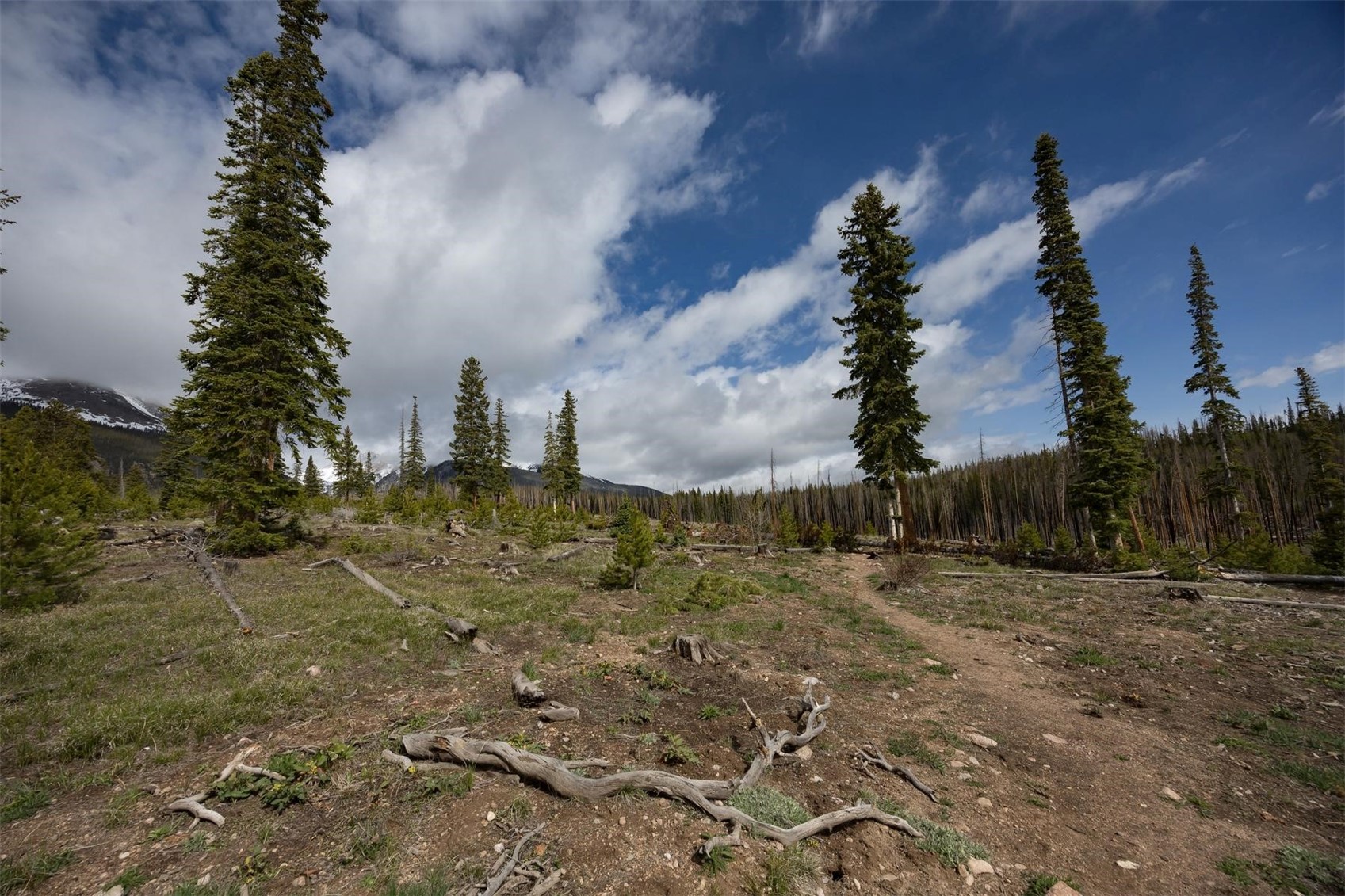 91100 Ryan Gulch Road Silverthorne CO 80498