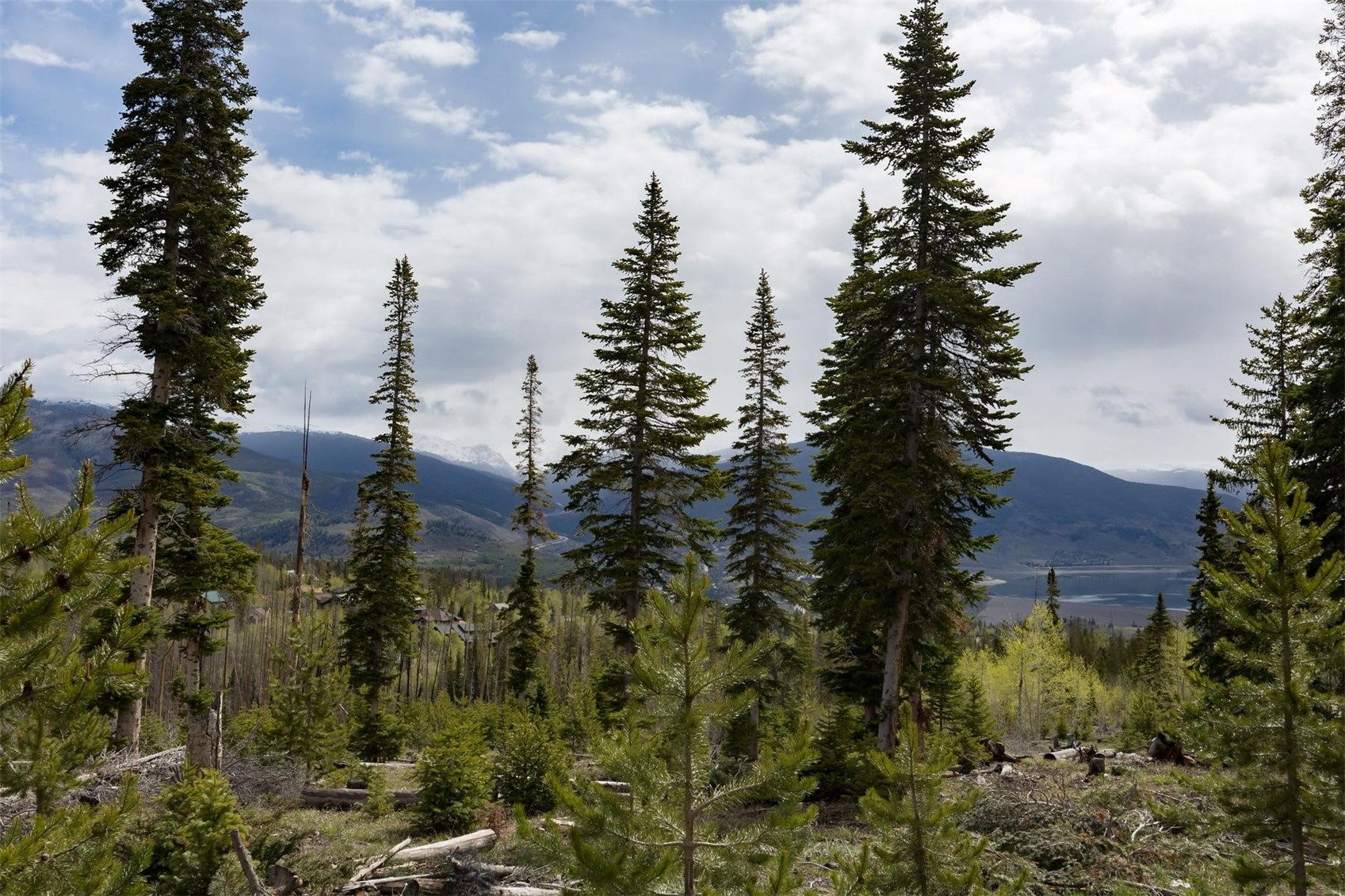 91100 Ryan Gulch Road Silverthorne CO 80498
