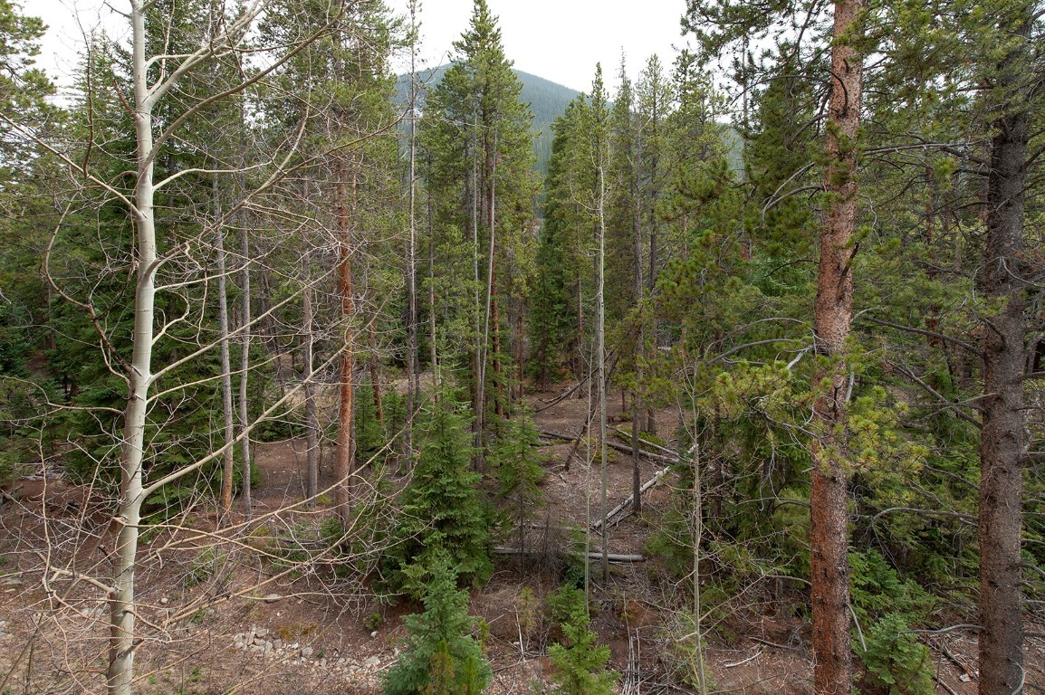 28 Trappers Crossing Trail Keystone CO 80435