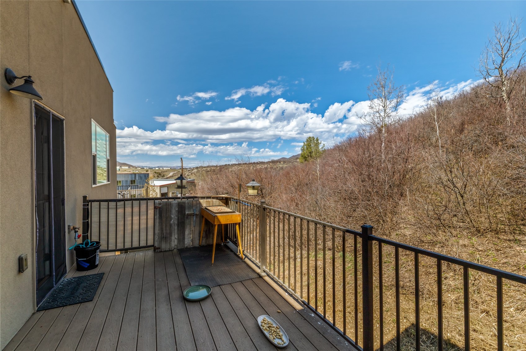 1680 Copper Ridge Court Steamboat Springs CO 80487