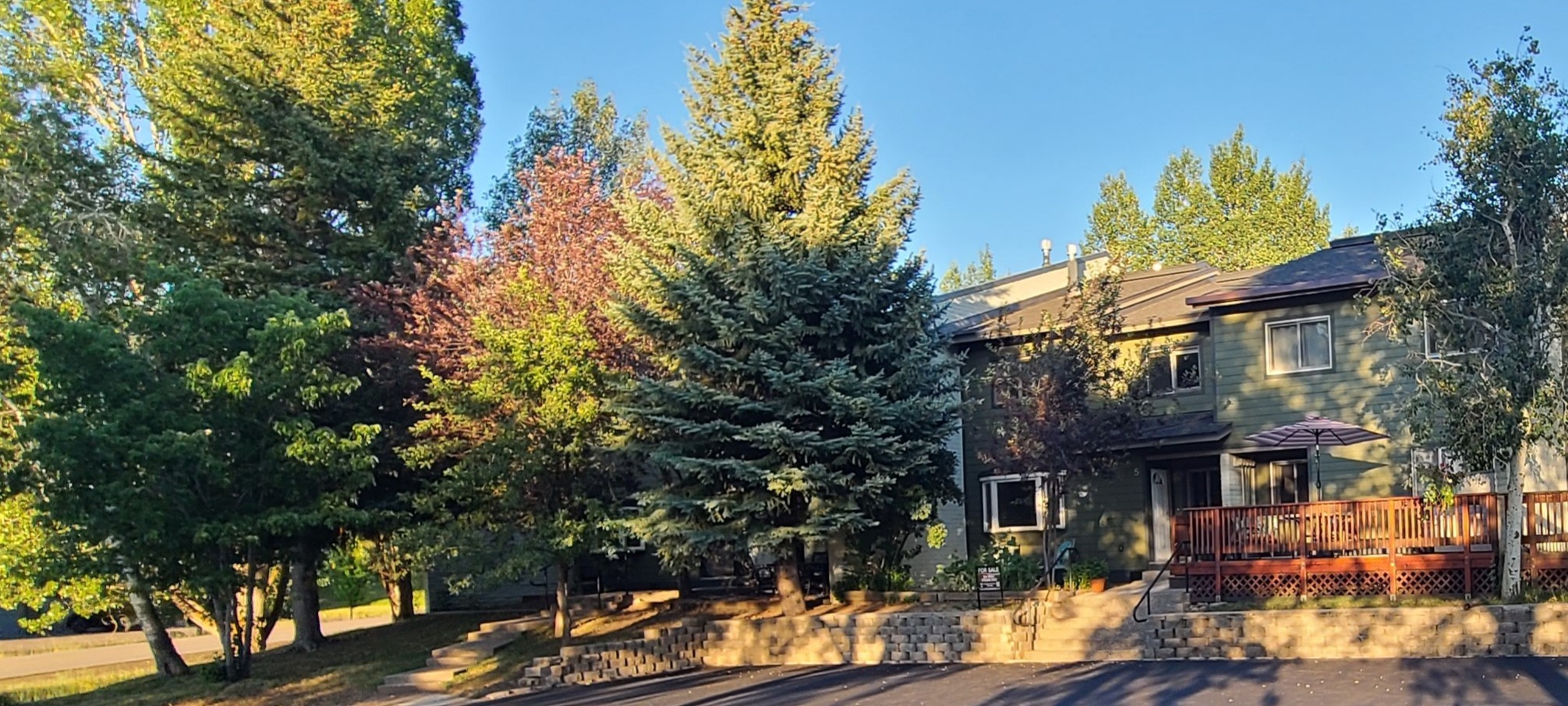 5 Hemlock Court Steamboat Springs CO 80487