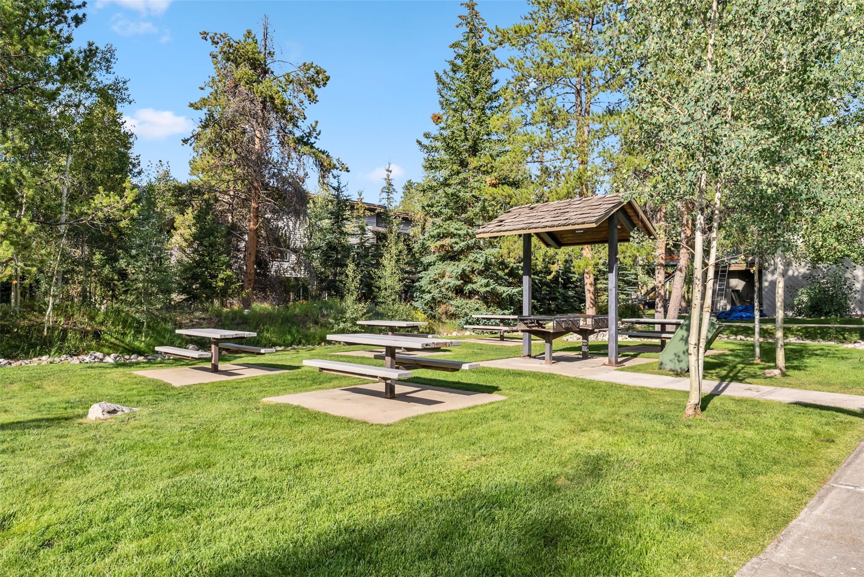 1937 Soda Ridge Road Dillon CO 80435