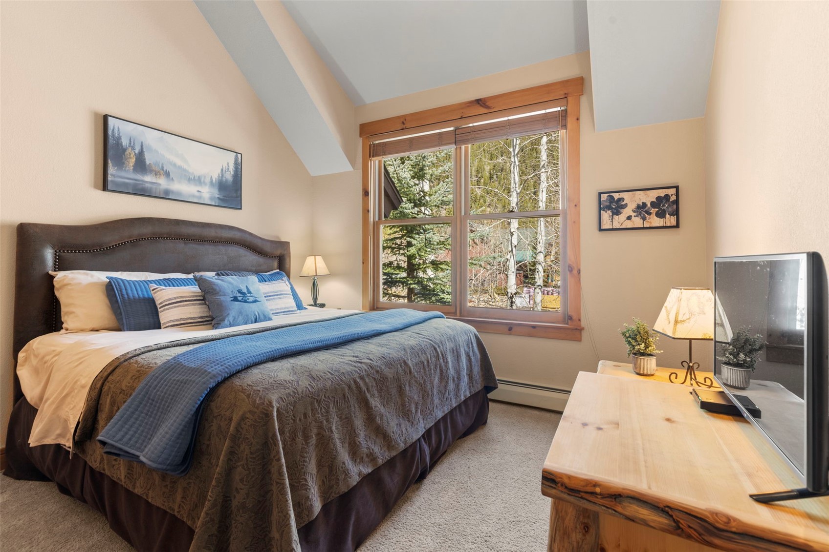 206 Alpen Rose Place Keystone CO 80435