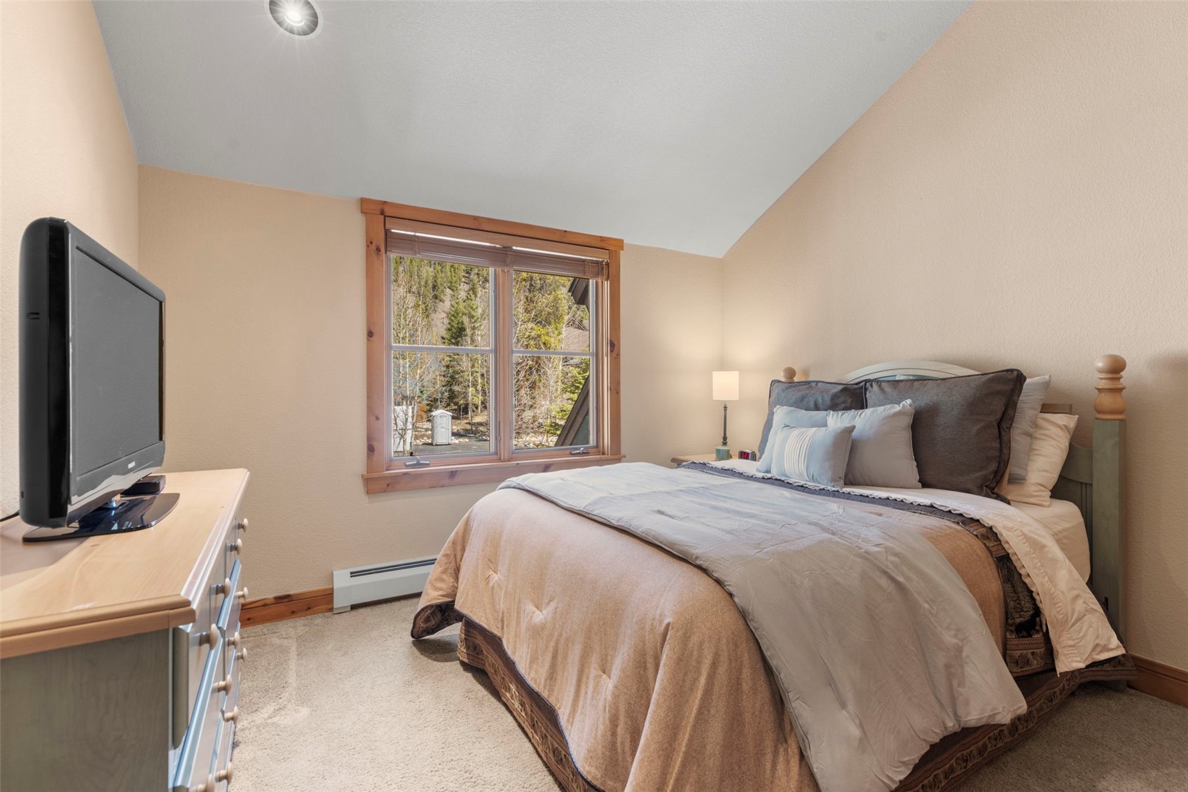 206 Alpen Rose Place Keystone CO 80435