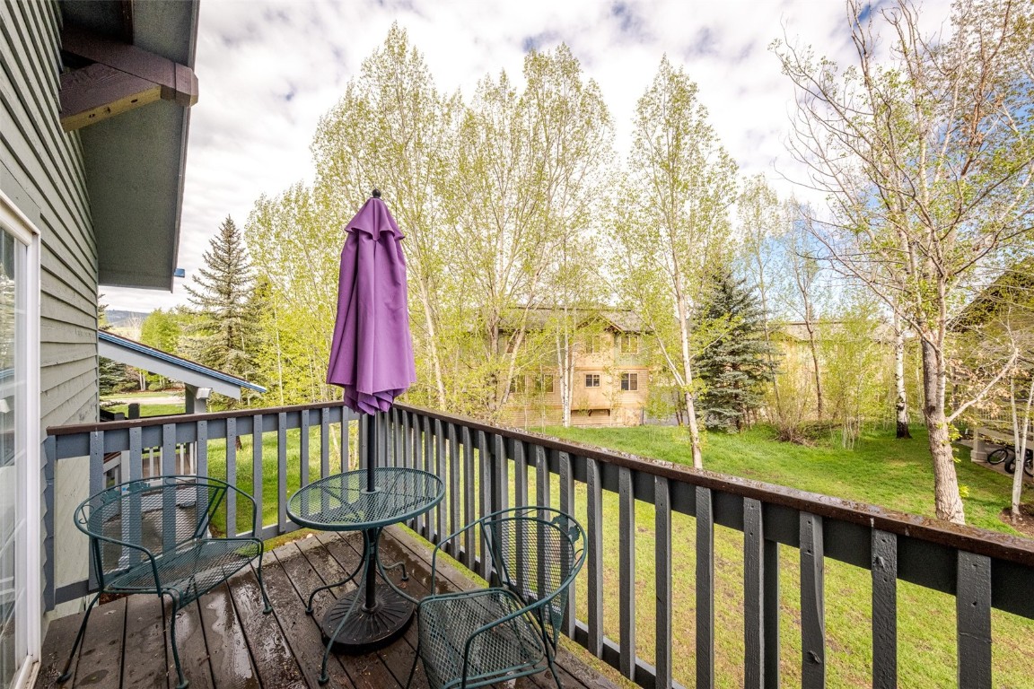 1399 Morgan Court Steamboat Springs CO 80487