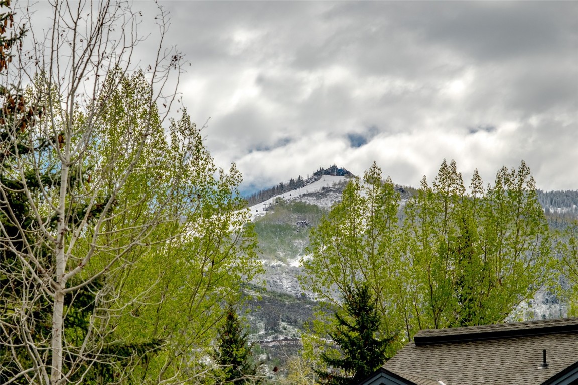 1399 Morgan Court Steamboat Springs CO 80487