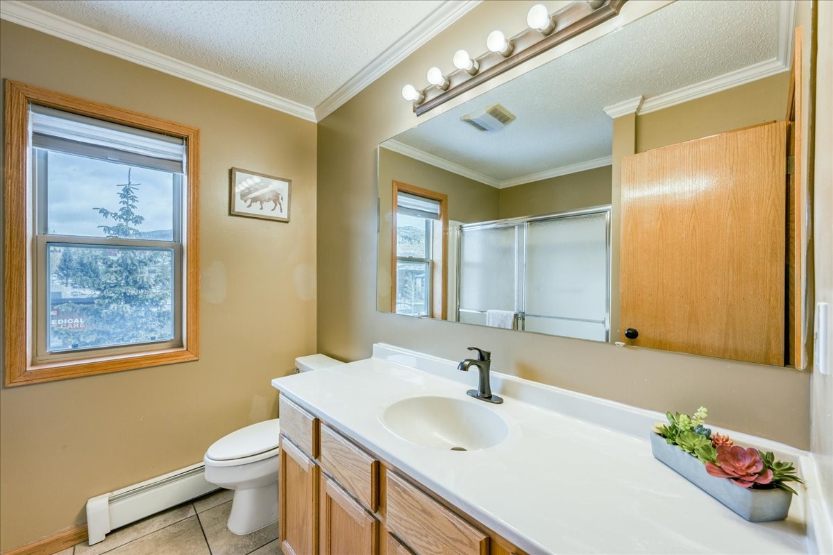 746 W Anemone Trail Dillon CO 80435