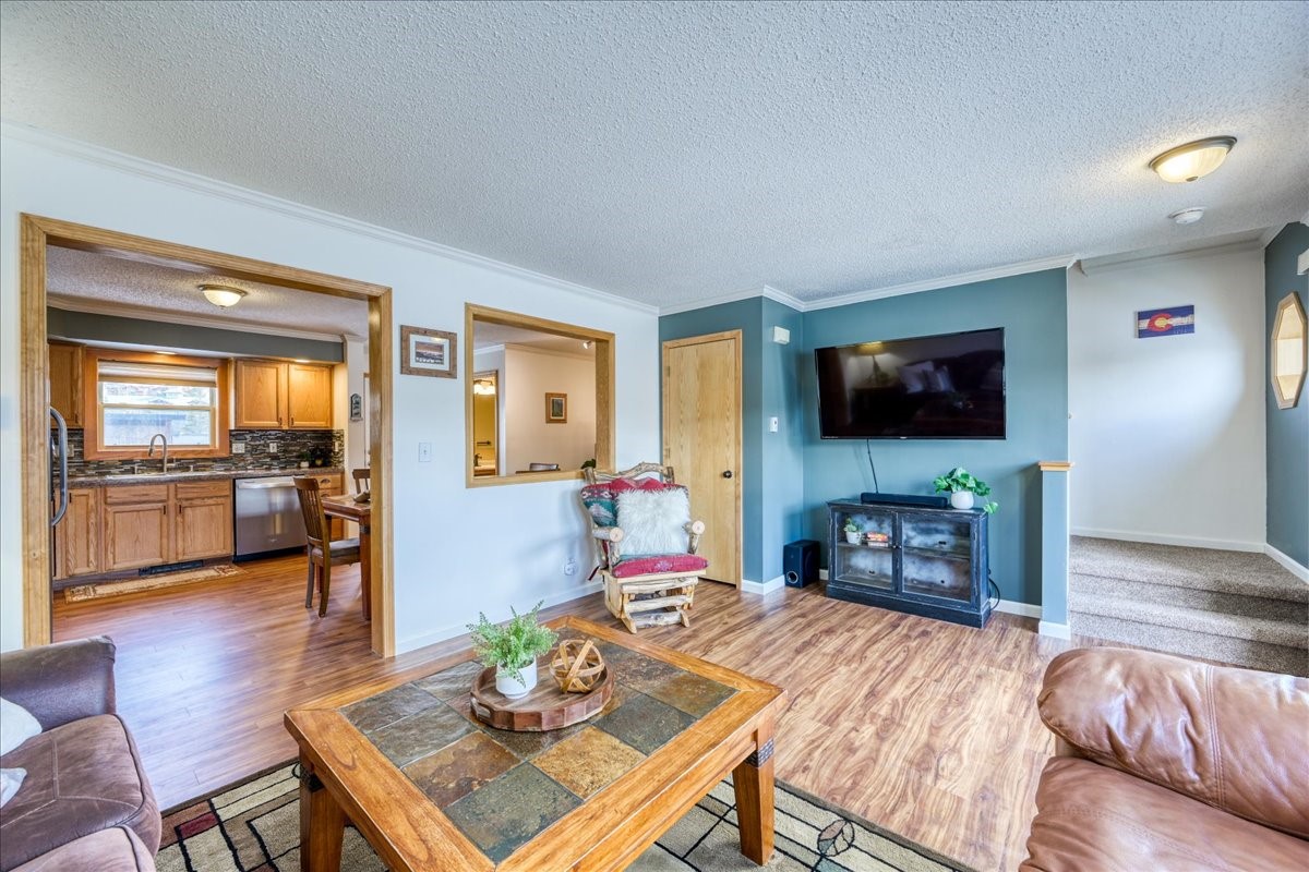 746 W Anemone Trail Dillon CO 80435