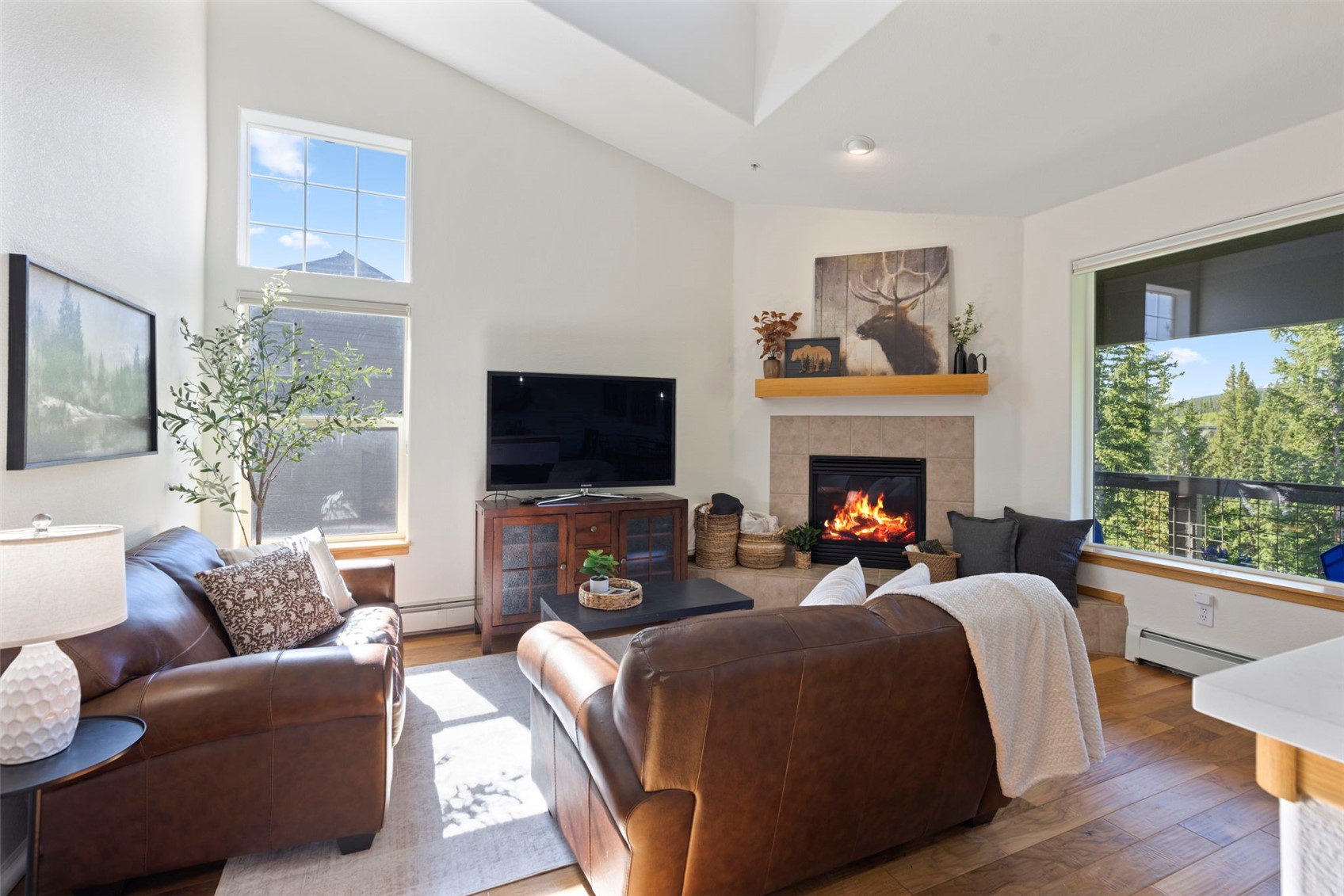 91399 Ryan Gulch Road Silverthorne CO 80498