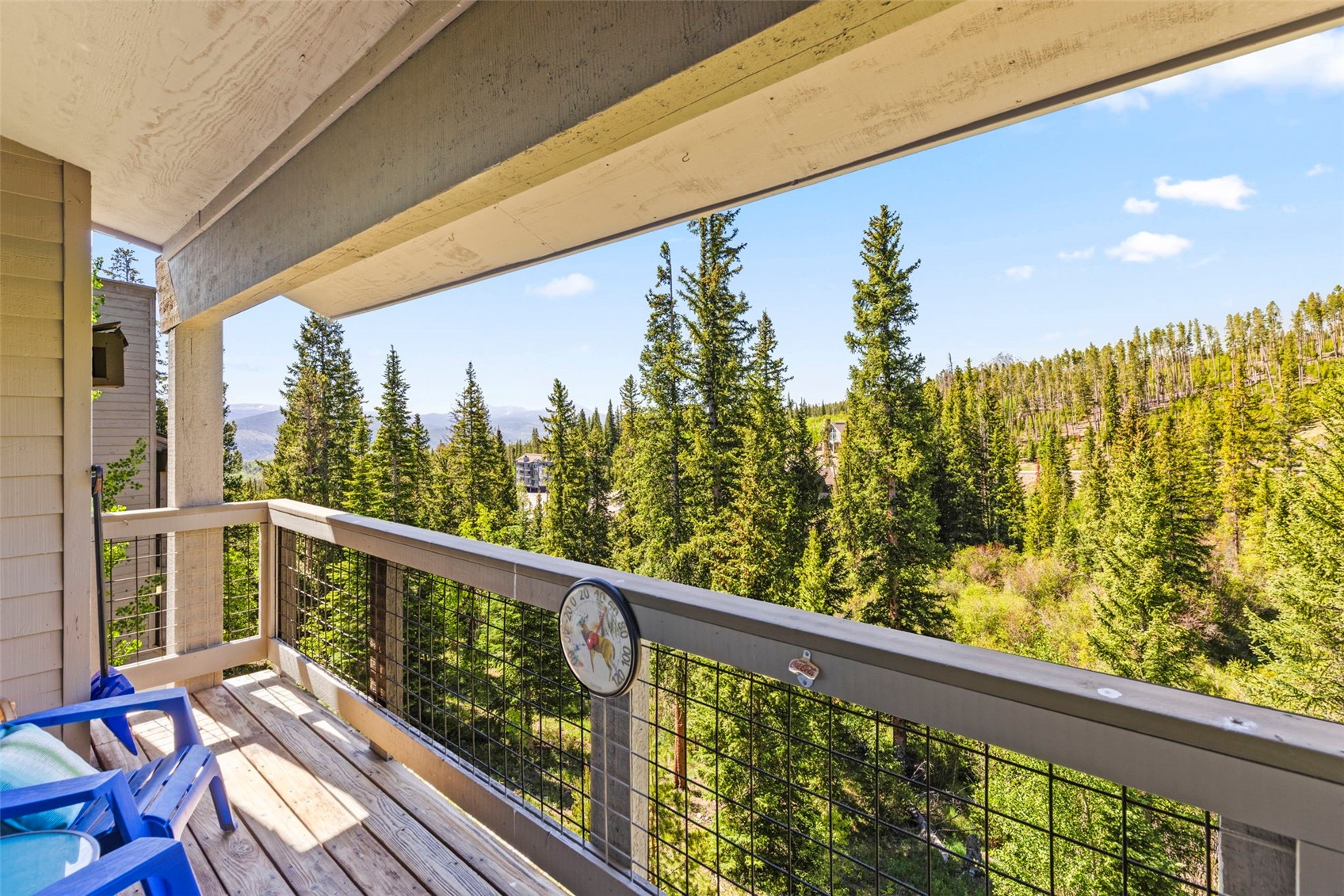 91399 Ryan Gulch Road Silverthorne CO 80498