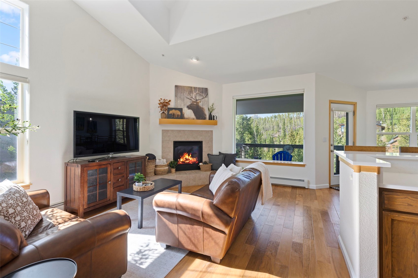 91399 Ryan Gulch Road Silverthorne CO 80498
