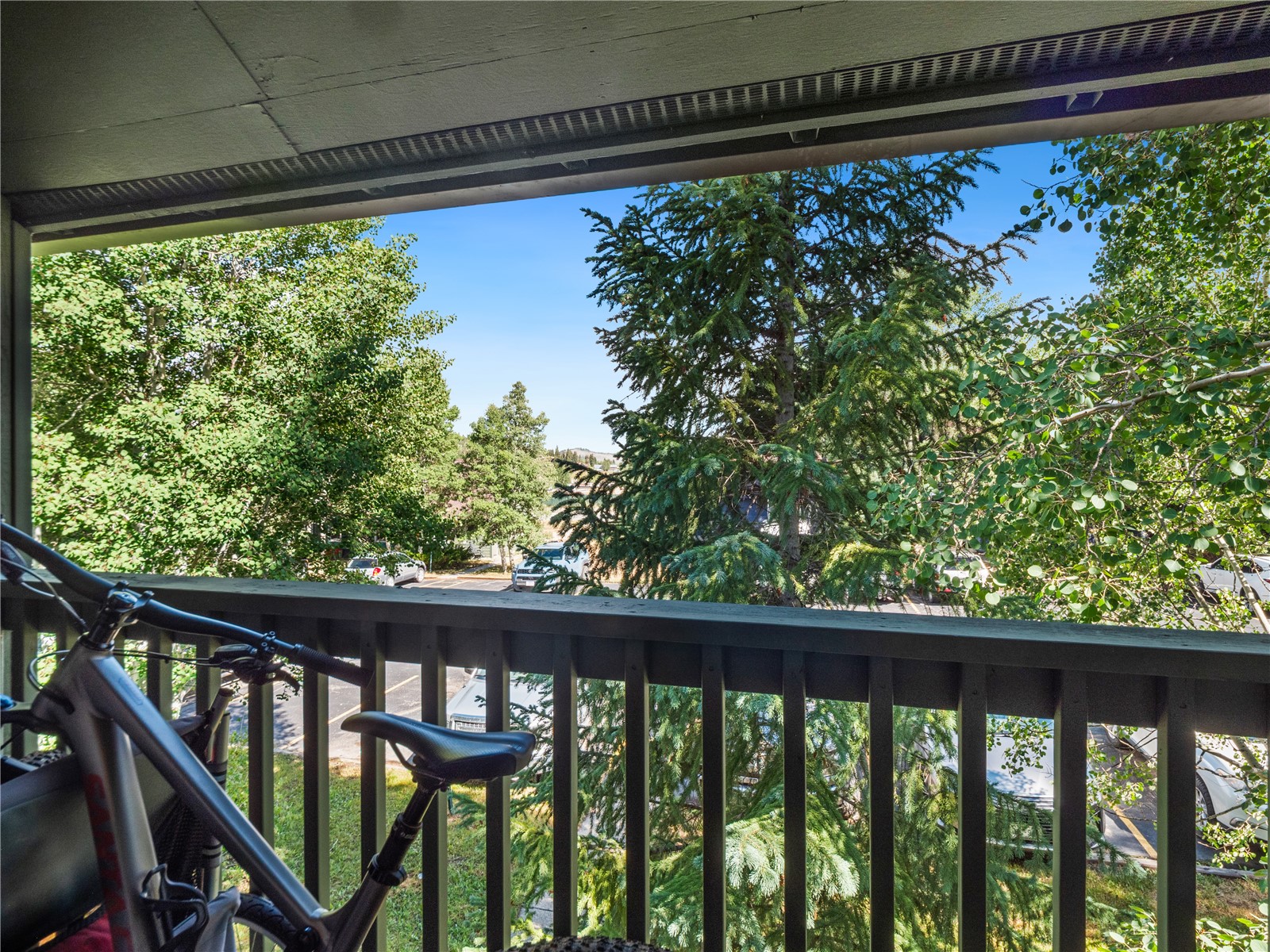 258 Cove Boulevard Dillon CO 80435
