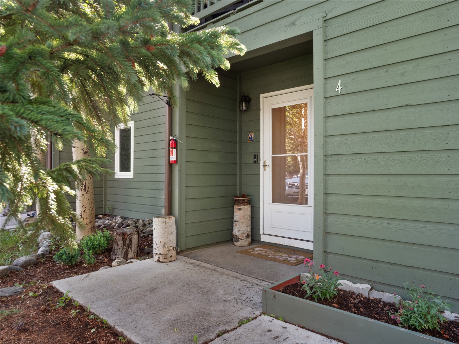 258 Cove Boulevard Dillon CO 80435