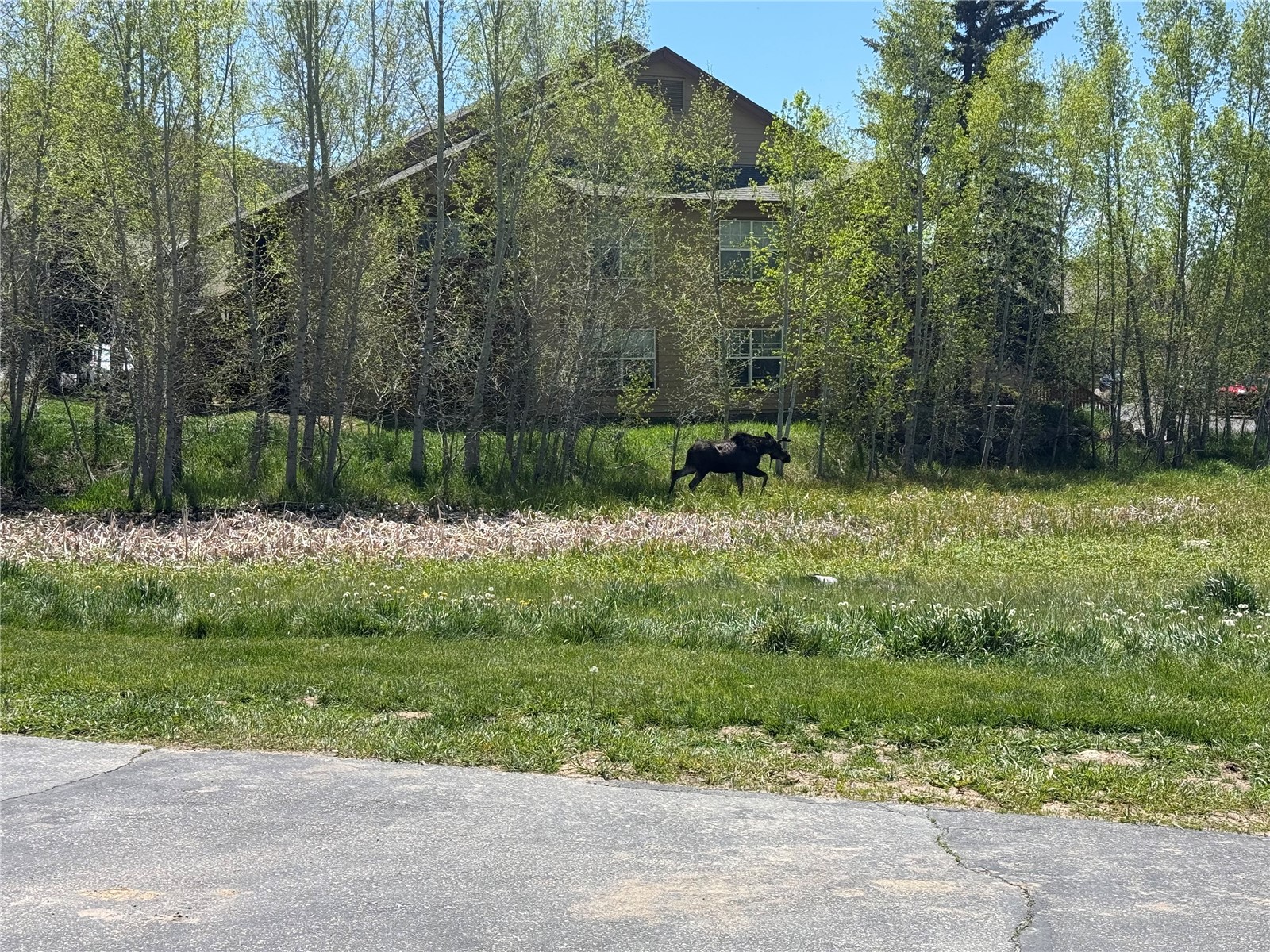 1535 Shadow Run Court Steamboat Springs CO 80487