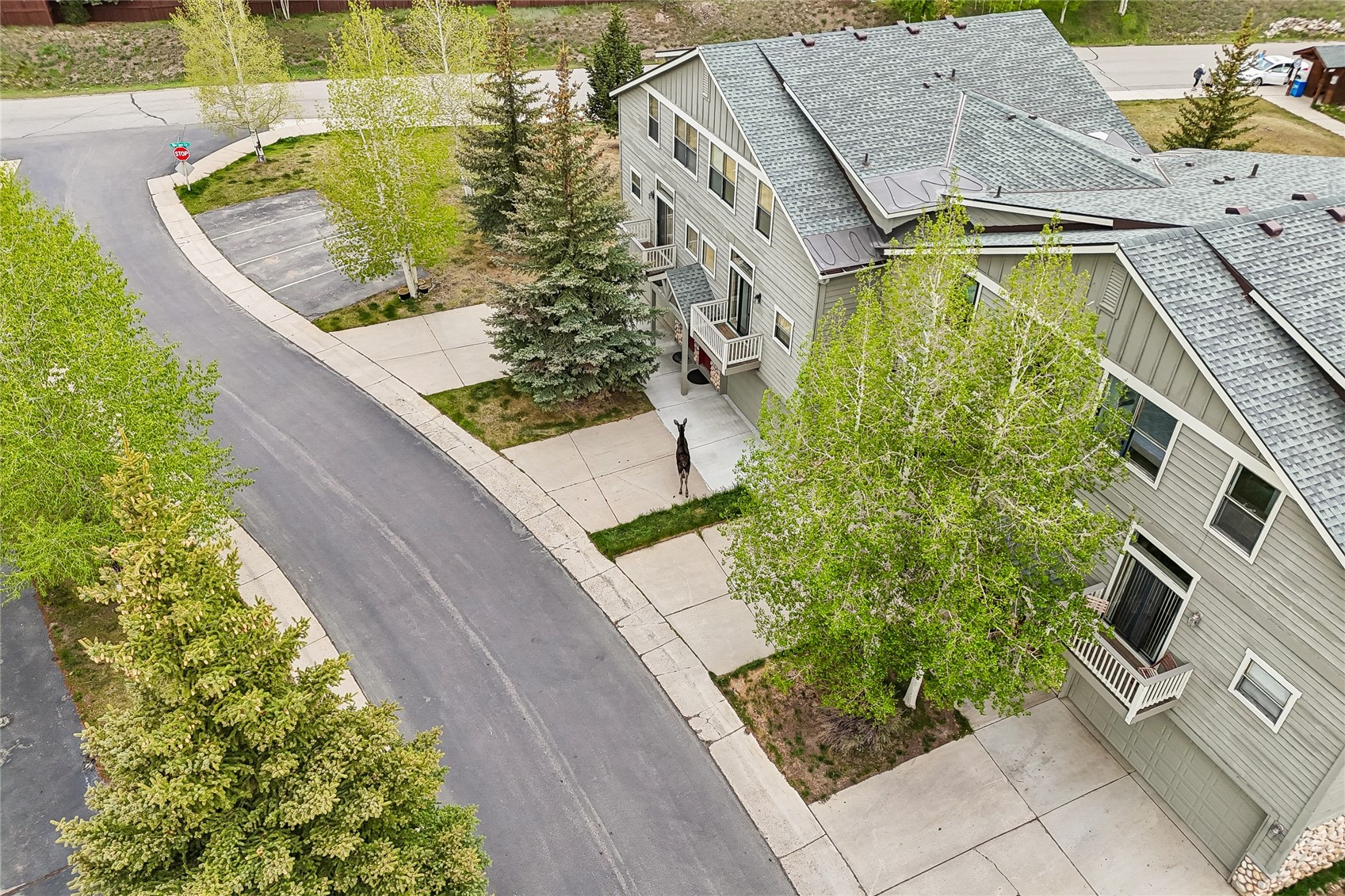 120 Mountain Vista Lane Silverthorne CO 80498