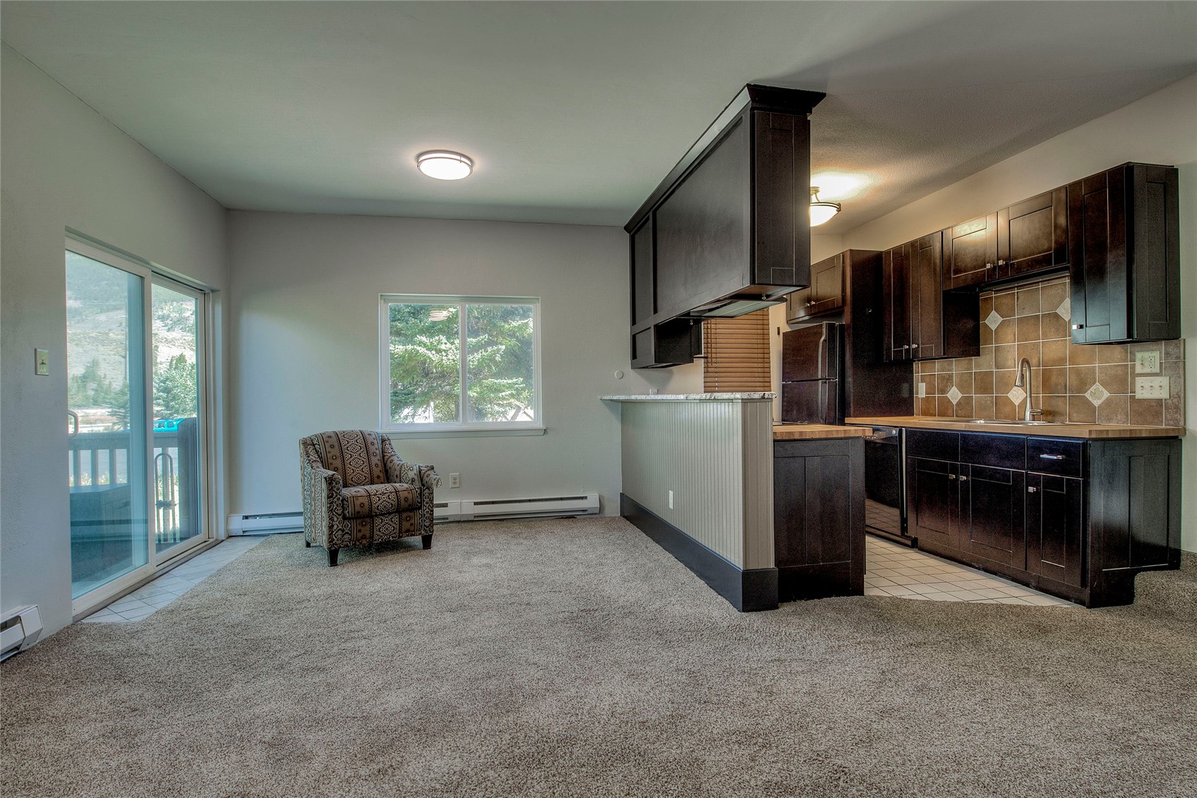 36 Cove Boulevard Dillon CO 80435