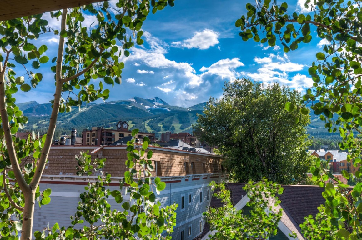 401 S Ridge Street Breckenridge CO 80424